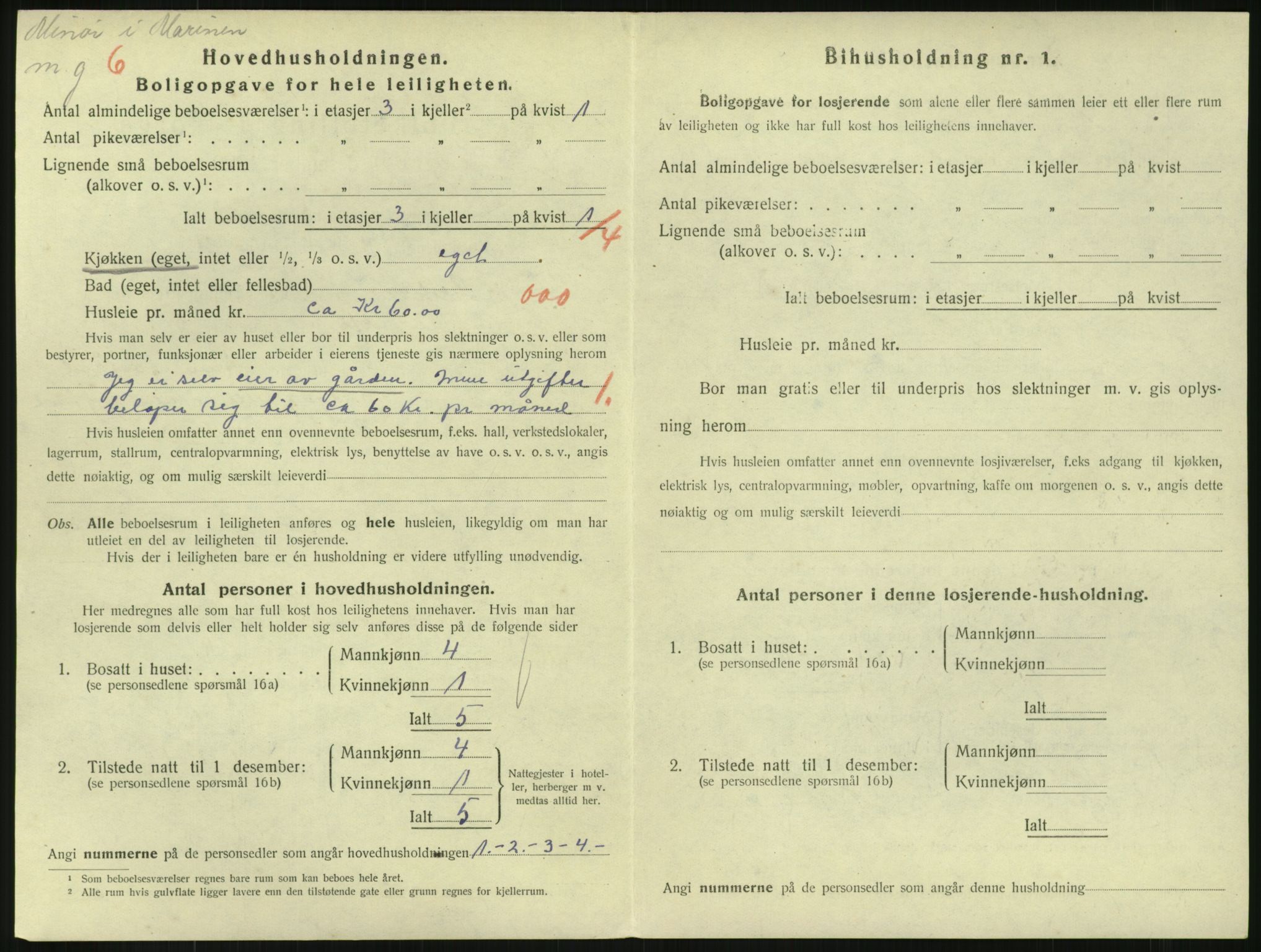 SAKO, 1920 census for Horten, 1920, p. 4600
