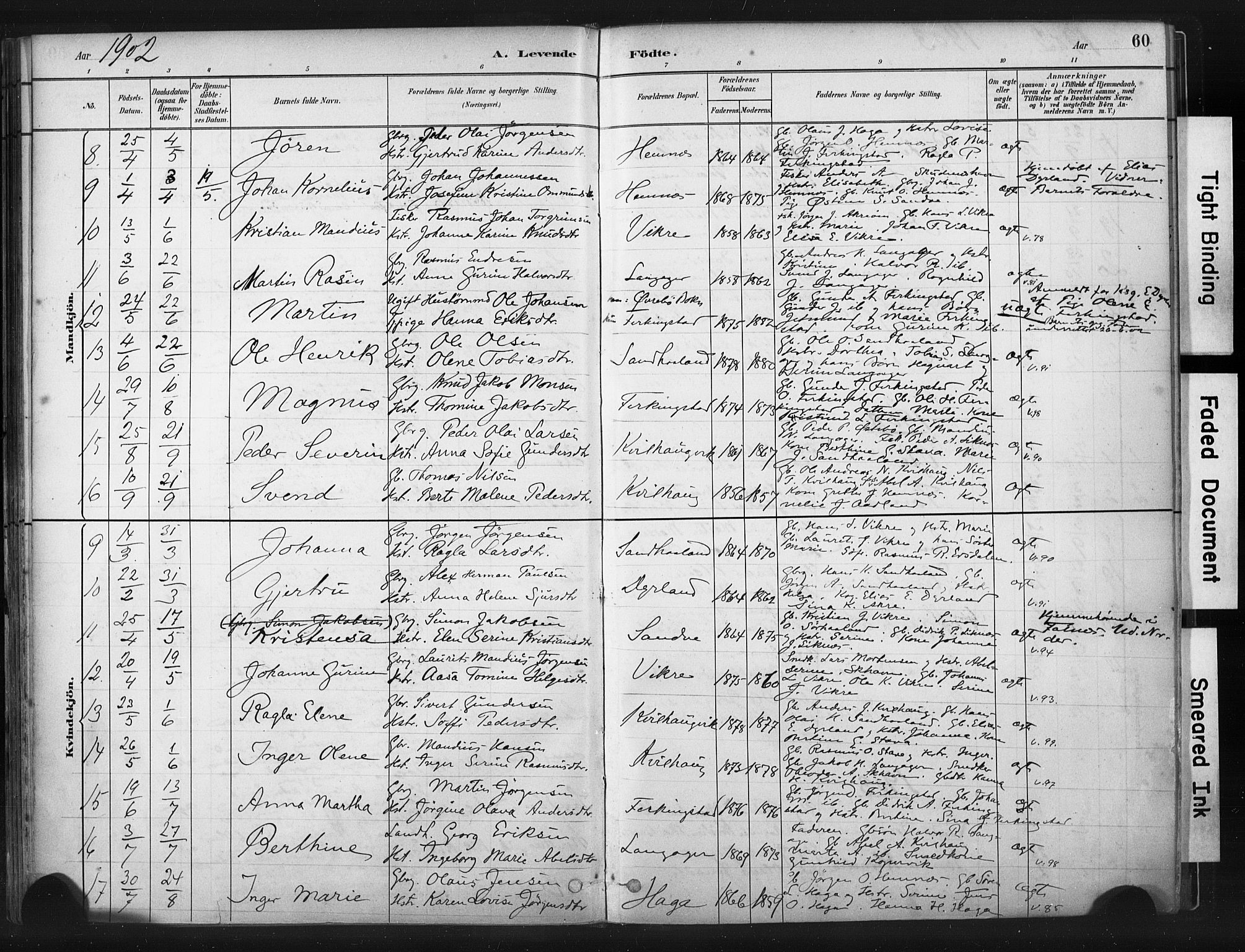 Skudenes sokneprestkontor, SAST/A -101849/H/Ha/Haa/L0010: Parish register (official) no. A 7, 1882-1912, p. 60