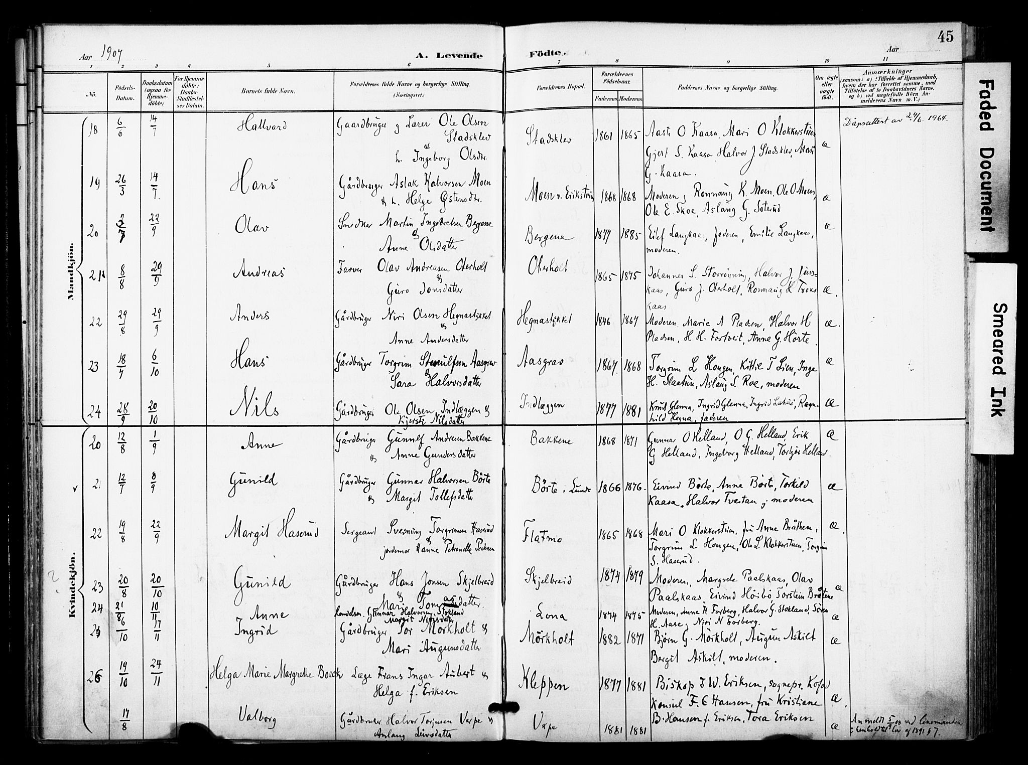 Bø kirkebøker, SAKO/A-257/F/Fa/L0012: Parish register (official) no. 12, 1900-1908, p. 45