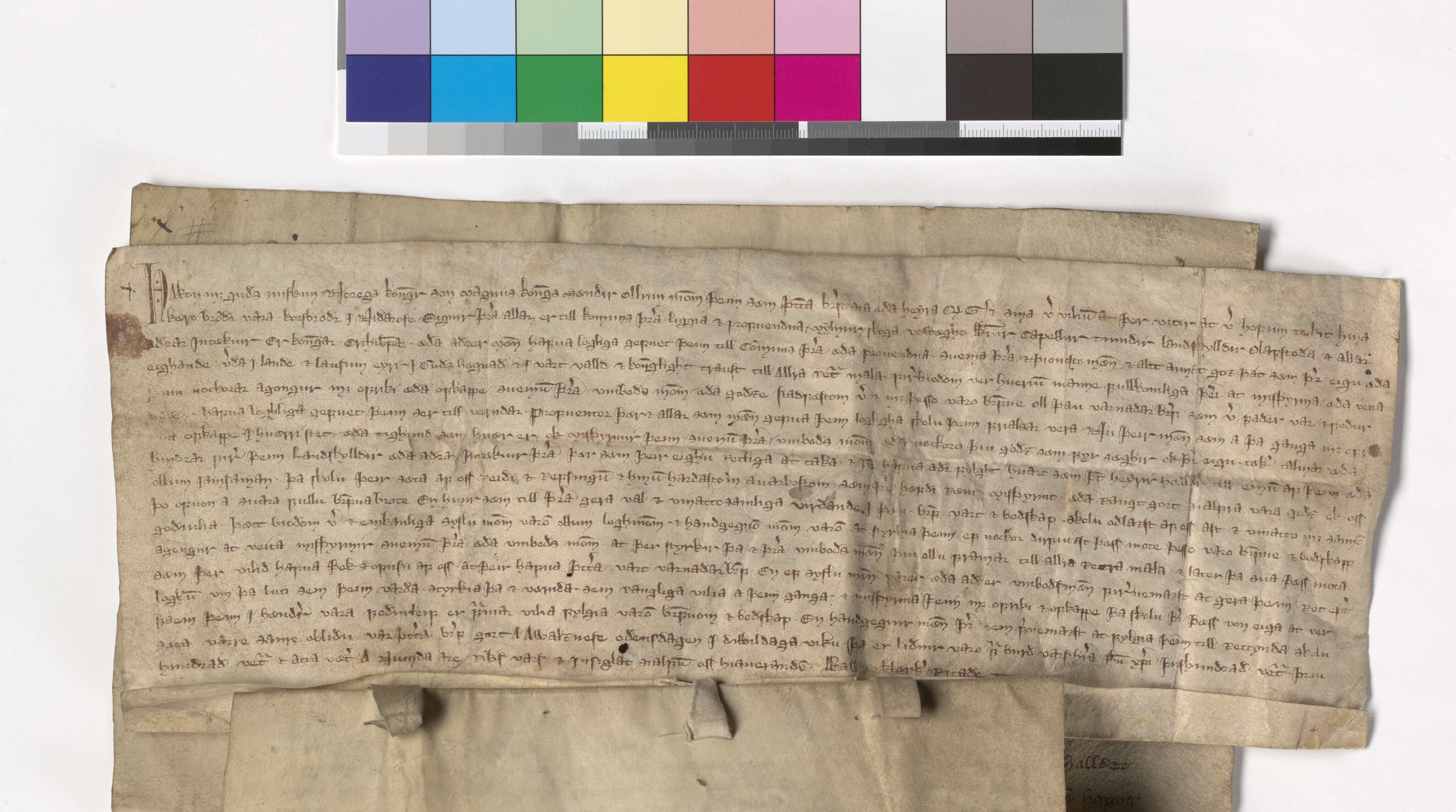 Riksarkivets diplomsamling, AV/RA-EA-5965/F05/L0004: NRA AM fasc. 2 nr. 1-2c, 1301-1339, p. 9