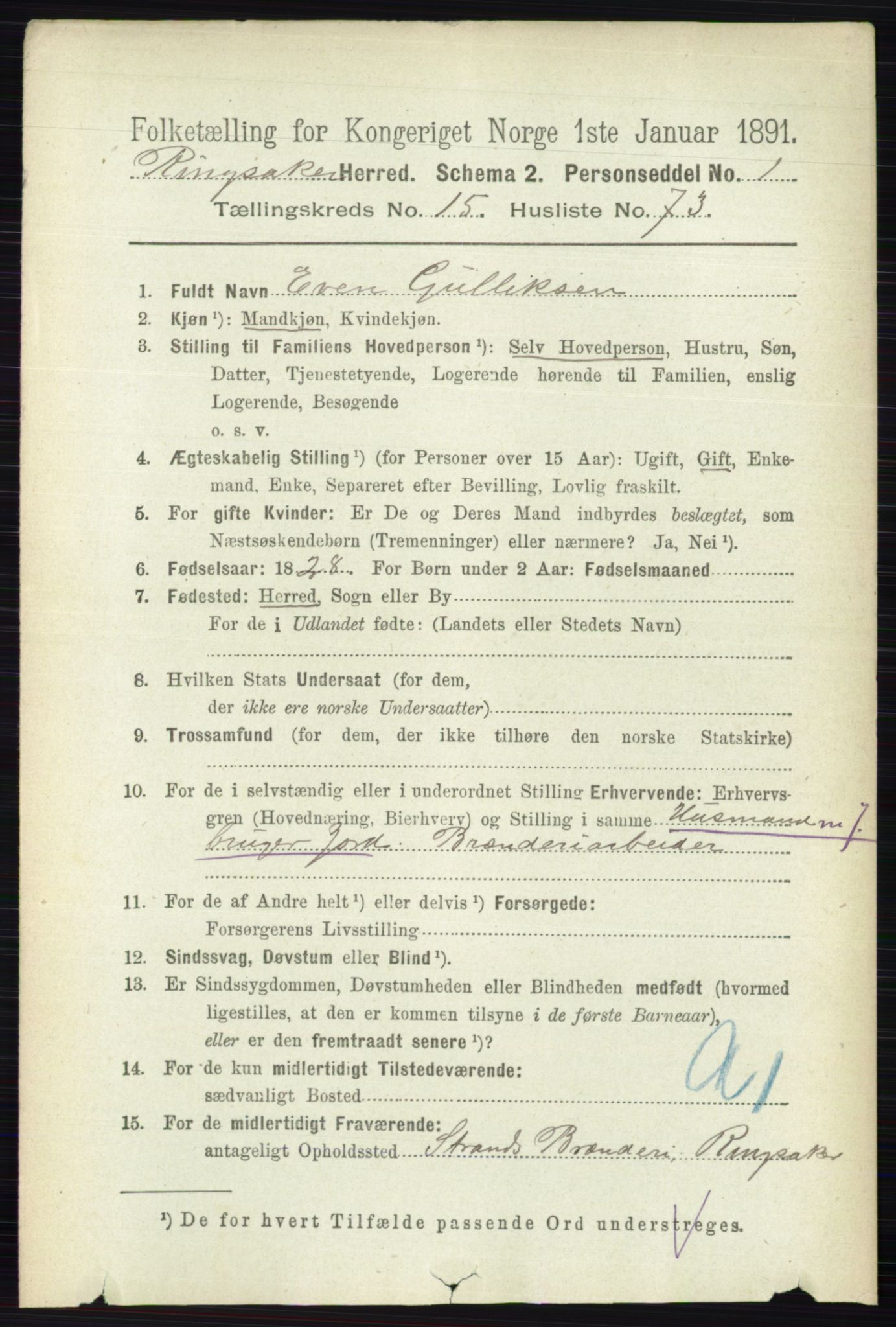RA, 1891 census for 0412 Ringsaker, 1891, p. 8925