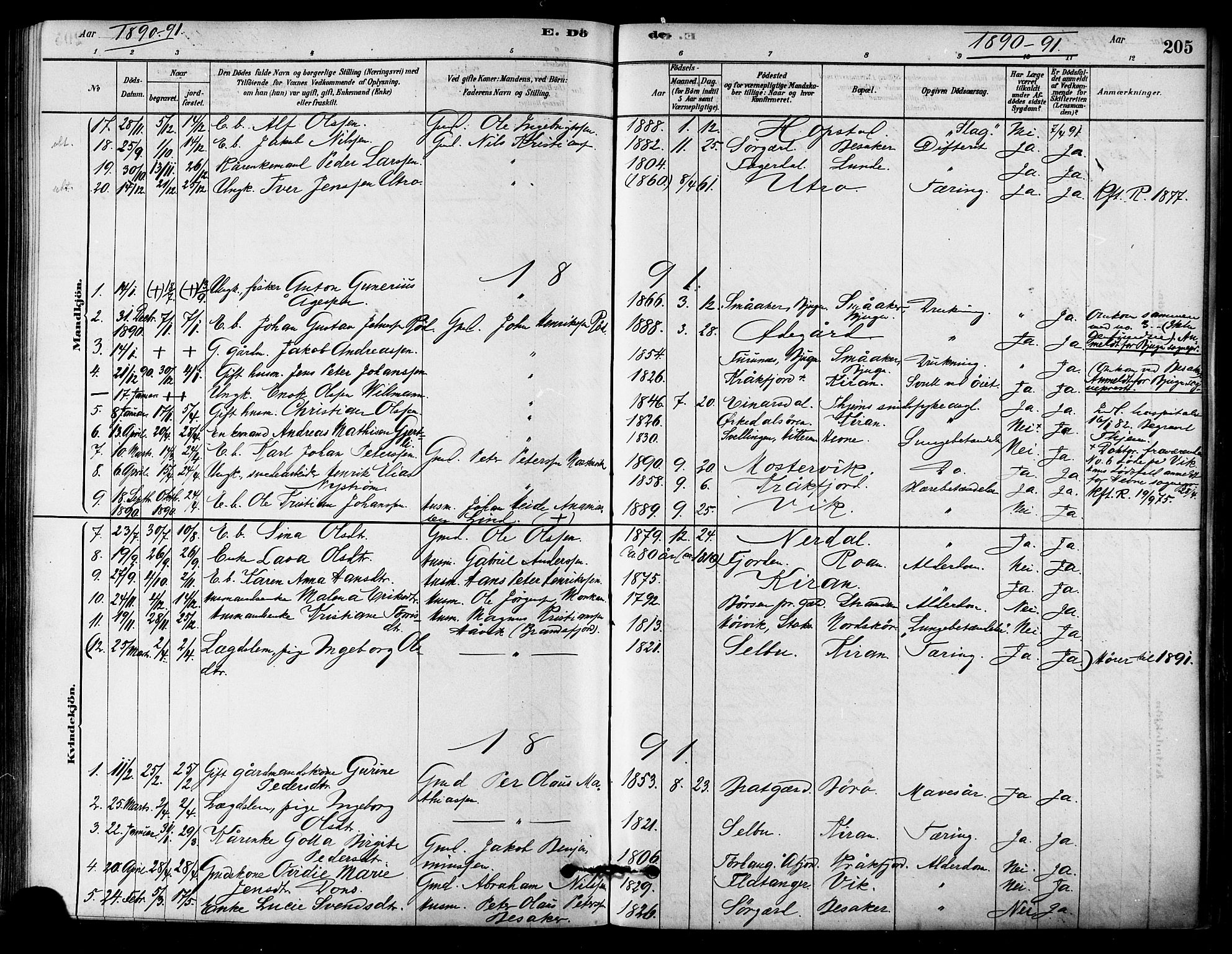 Ministerialprotokoller, klokkerbøker og fødselsregistre - Sør-Trøndelag, AV/SAT-A-1456/657/L0707: Parish register (official) no. 657A08, 1879-1893, p. 205
