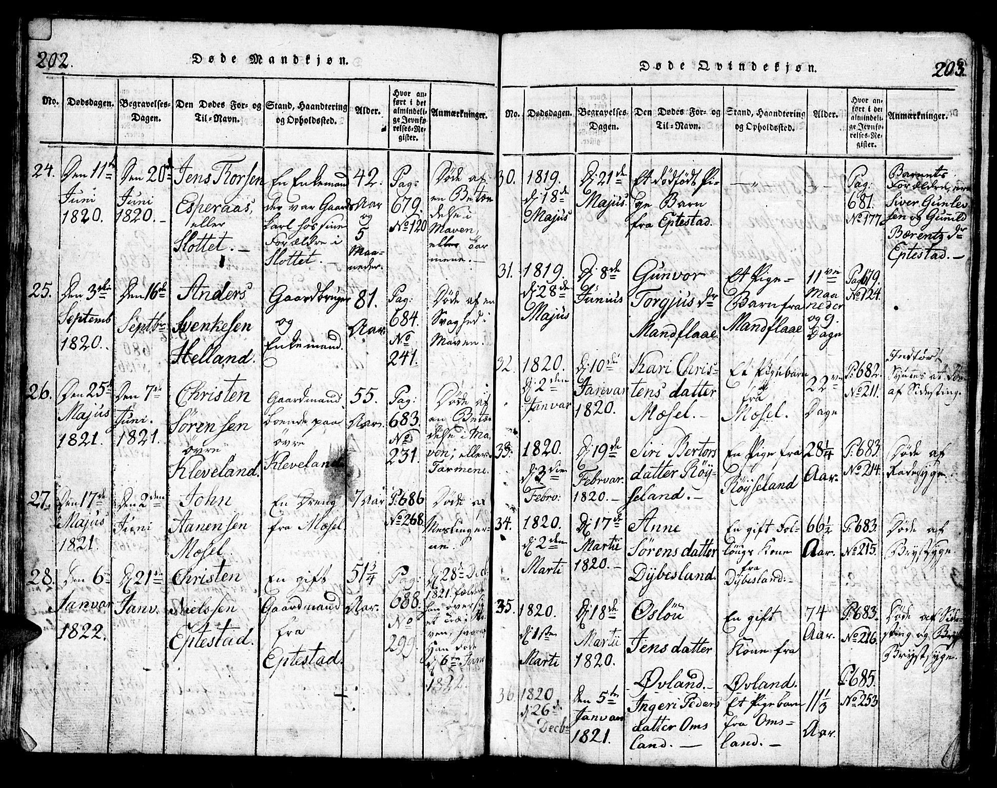 Bjelland sokneprestkontor, SAK/1111-0005/F/Fb/Fbb/L0003: Parish register (copy) no. B 3, 1816-1868, p. 202-203