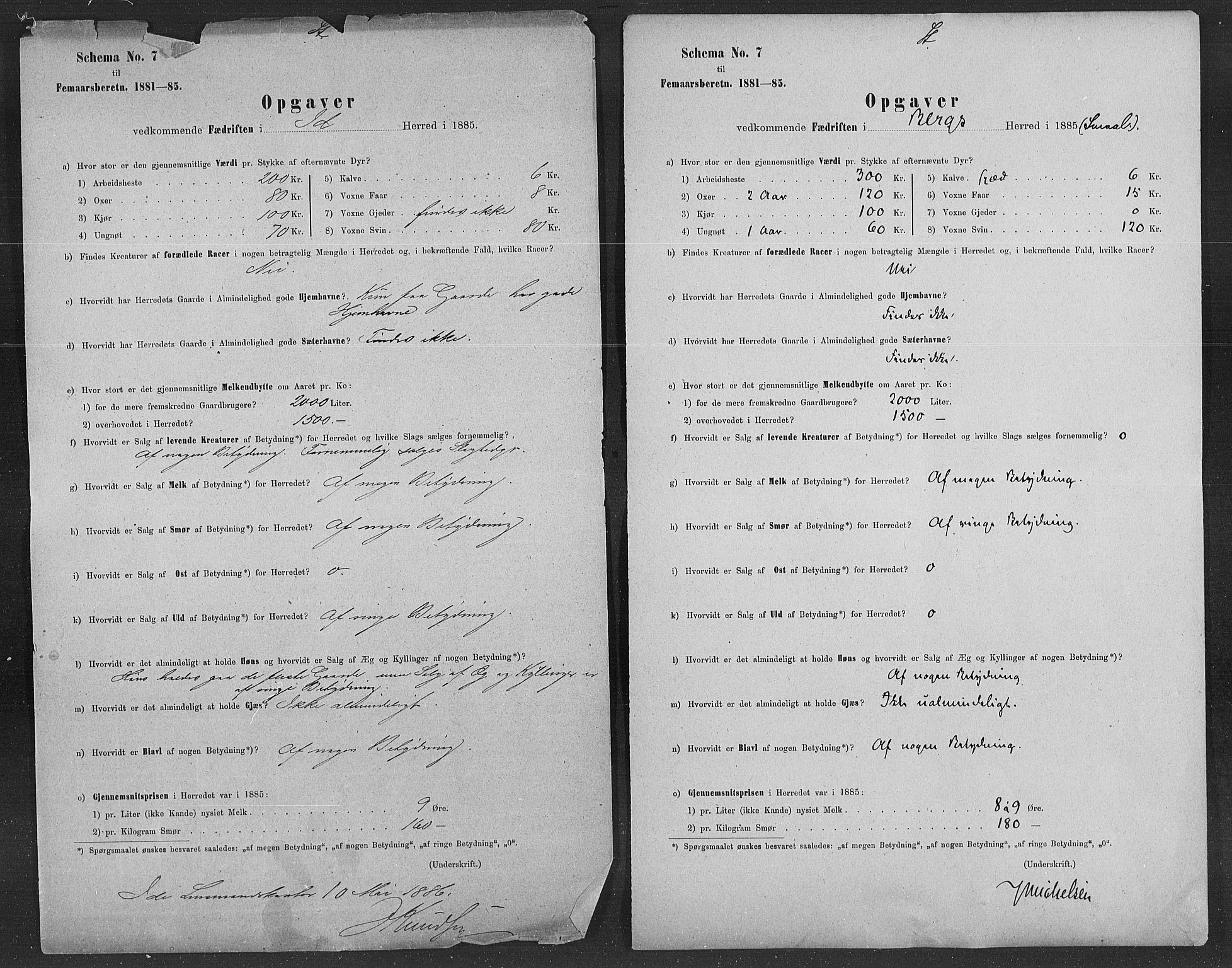 Statistisk sentralbyrå, Næringsøkonomiske emner, Generelt - Amtmennenes femårsberetninger, AV/RA-S-2233/F/Fa/L0060: --, 1881-1885, p. 6