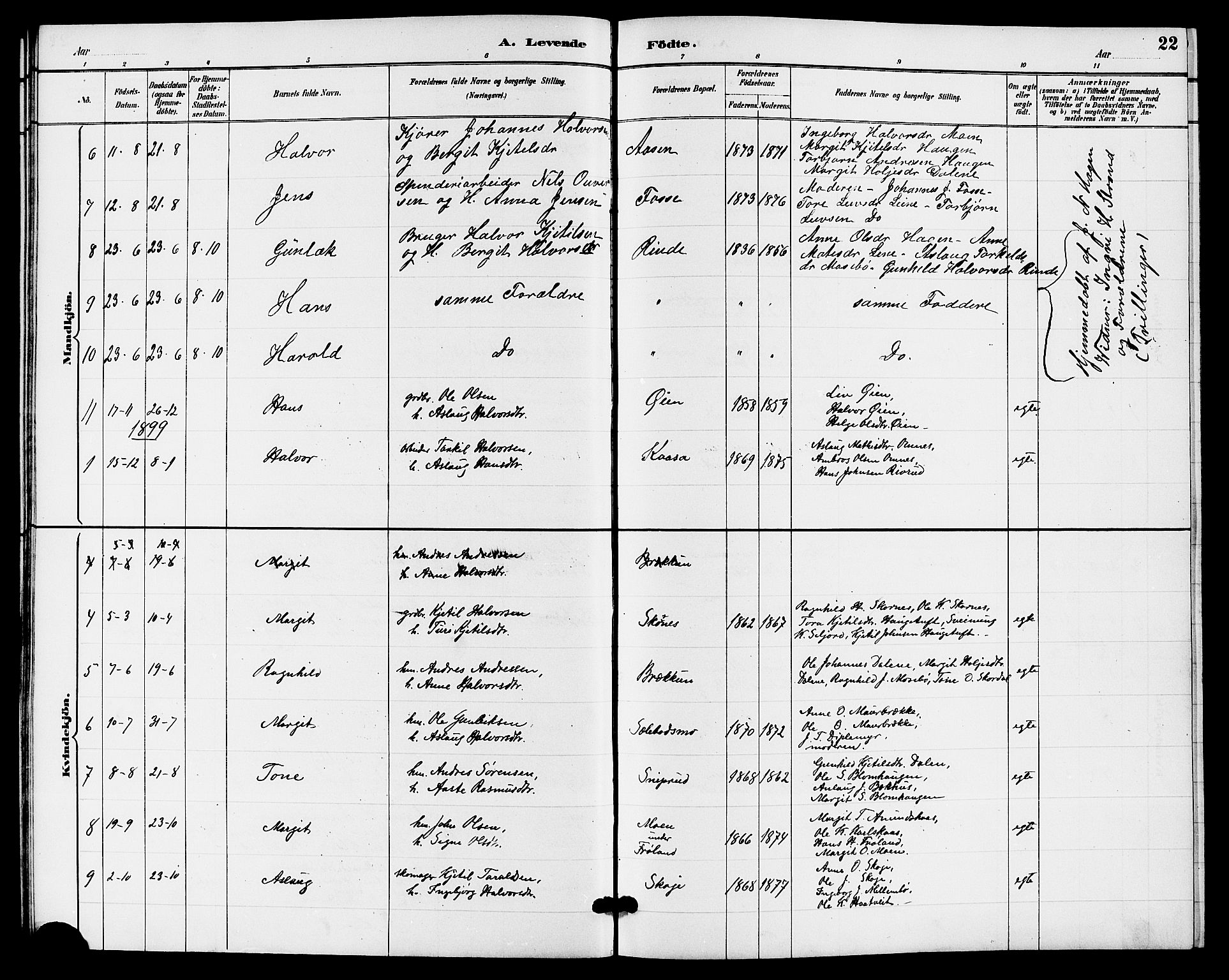 Hjartdal kirkebøker, SAKO/A-270/G/Gb/L0003: Parish register (copy) no. II 3, 1884-1899, p. 22