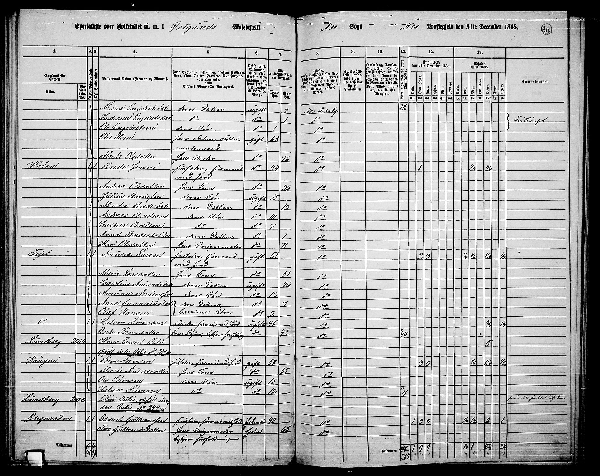 RA, 1865 census for Nes, 1865, p. 285