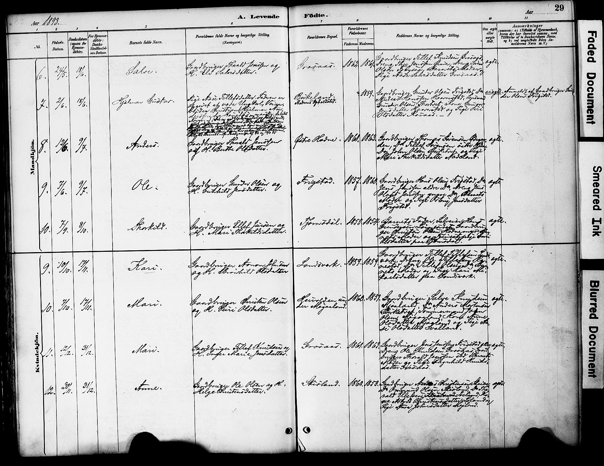 Evje sokneprestkontor, AV/SAK-1111-0008/F/Fa/Fac/L0003: Parish register (official) no. A 3, 1884-1909, p. 29