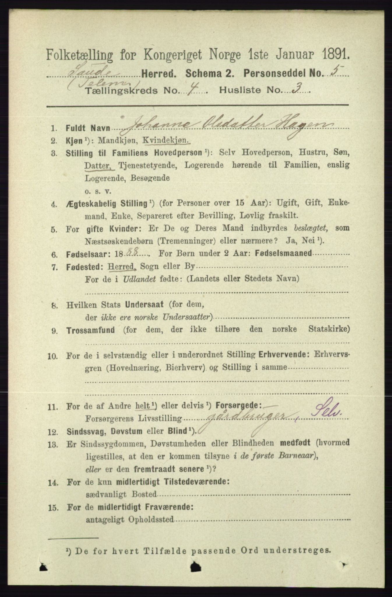 RA, 1891 census for 0822 Sauherad, 1891, p. 1110