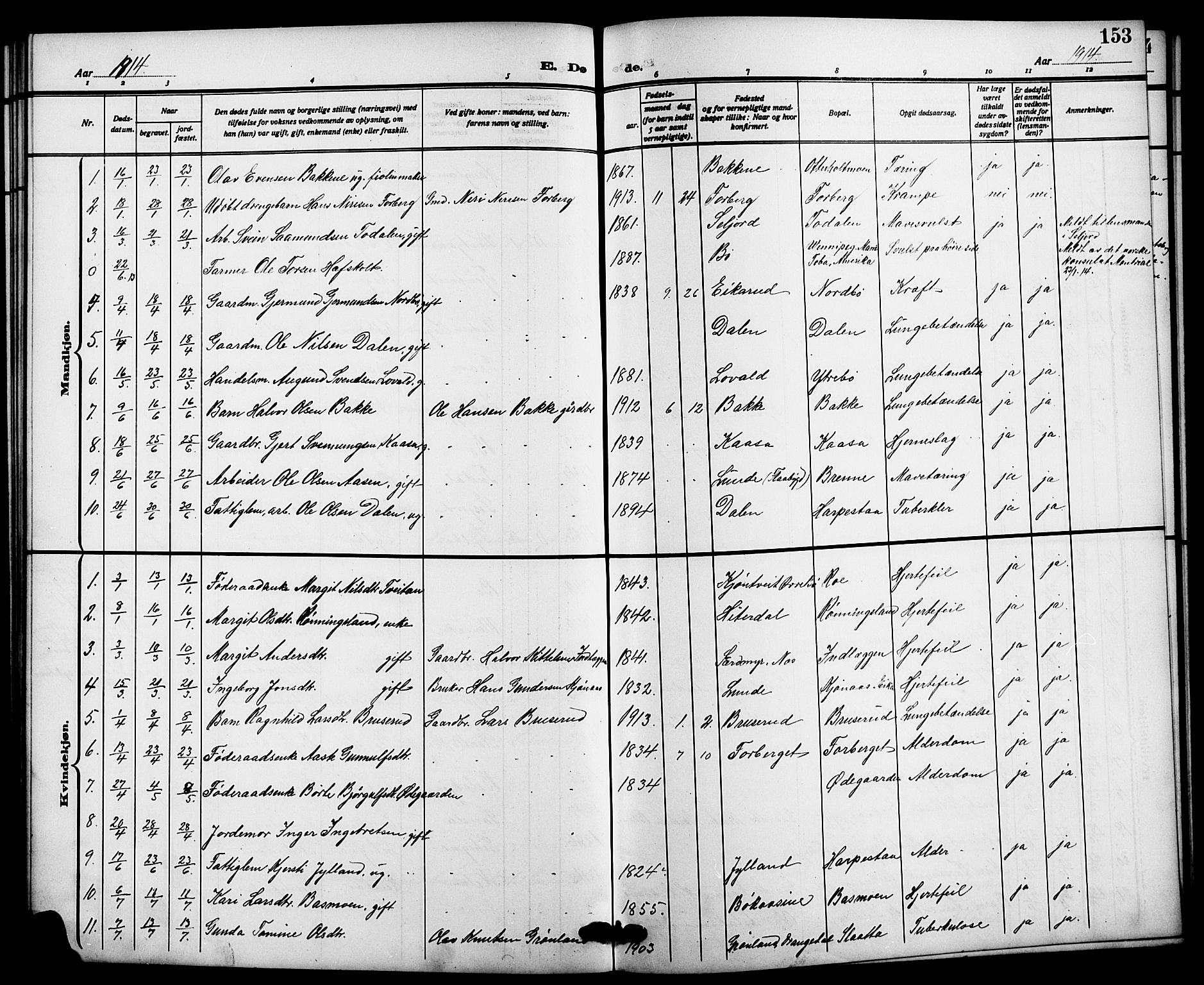 Bø kirkebøker, SAKO/A-257/G/Ga/L0007: Parish register (copy) no. 7, 1909-1924, p. 153