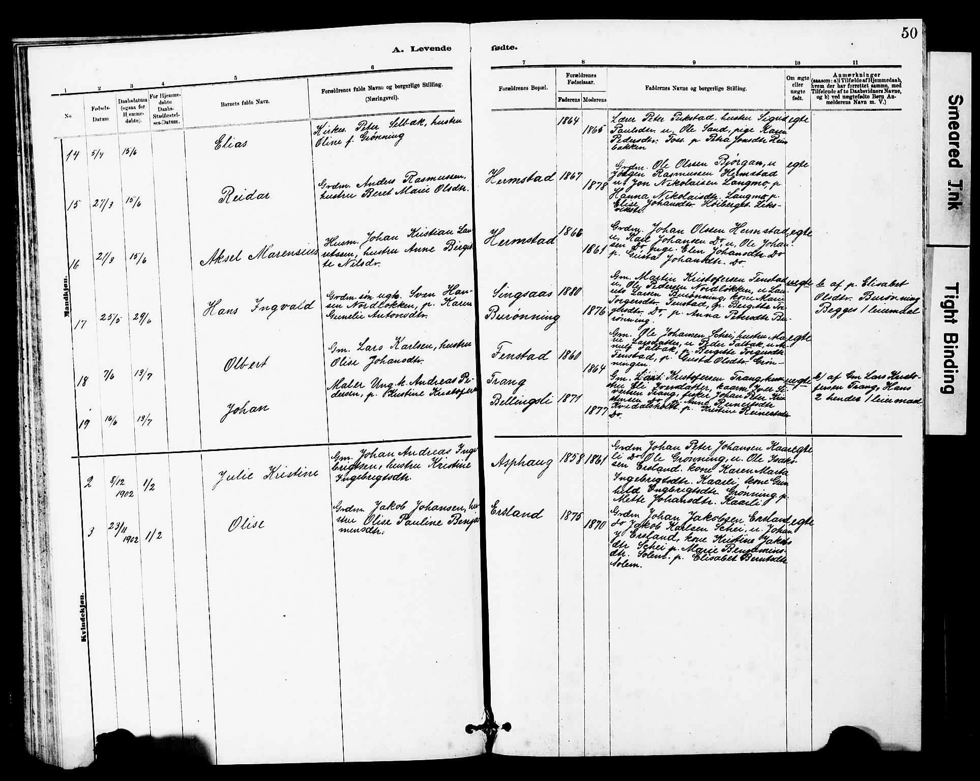 Ministerialprotokoller, klokkerbøker og fødselsregistre - Sør-Trøndelag, AV/SAT-A-1456/646/L0628: Parish register (copy) no. 646C01, 1880-1903, p. 50