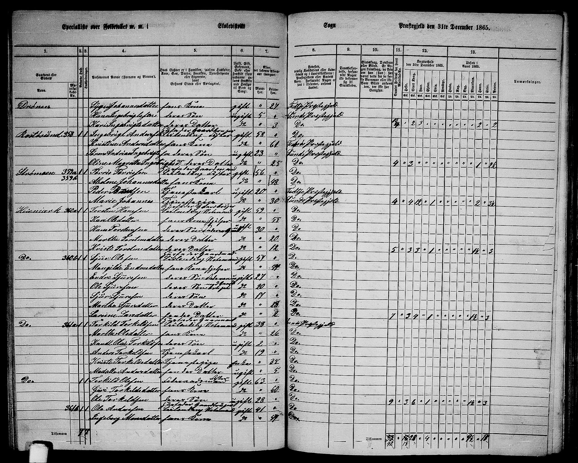 RA, 1865 census for Sund, 1865, p. 136