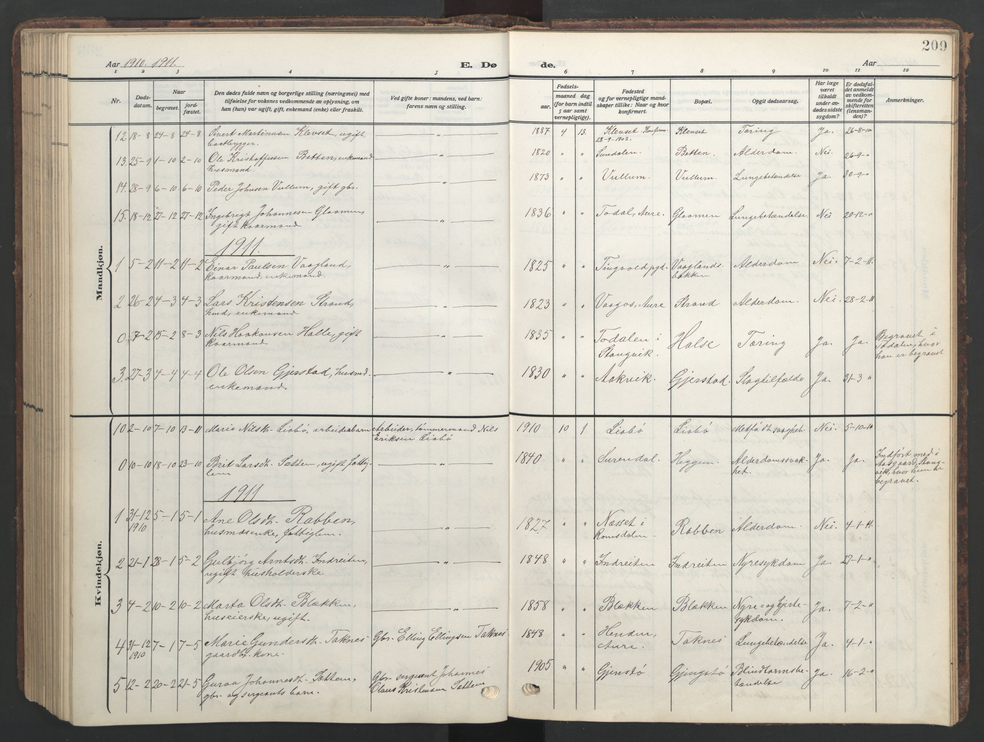 Ministerialprotokoller, klokkerbøker og fødselsregistre - Møre og Romsdal, SAT/A-1454/576/L0891: Parish register (copy) no. 576C02, 1909-1946, p. 209