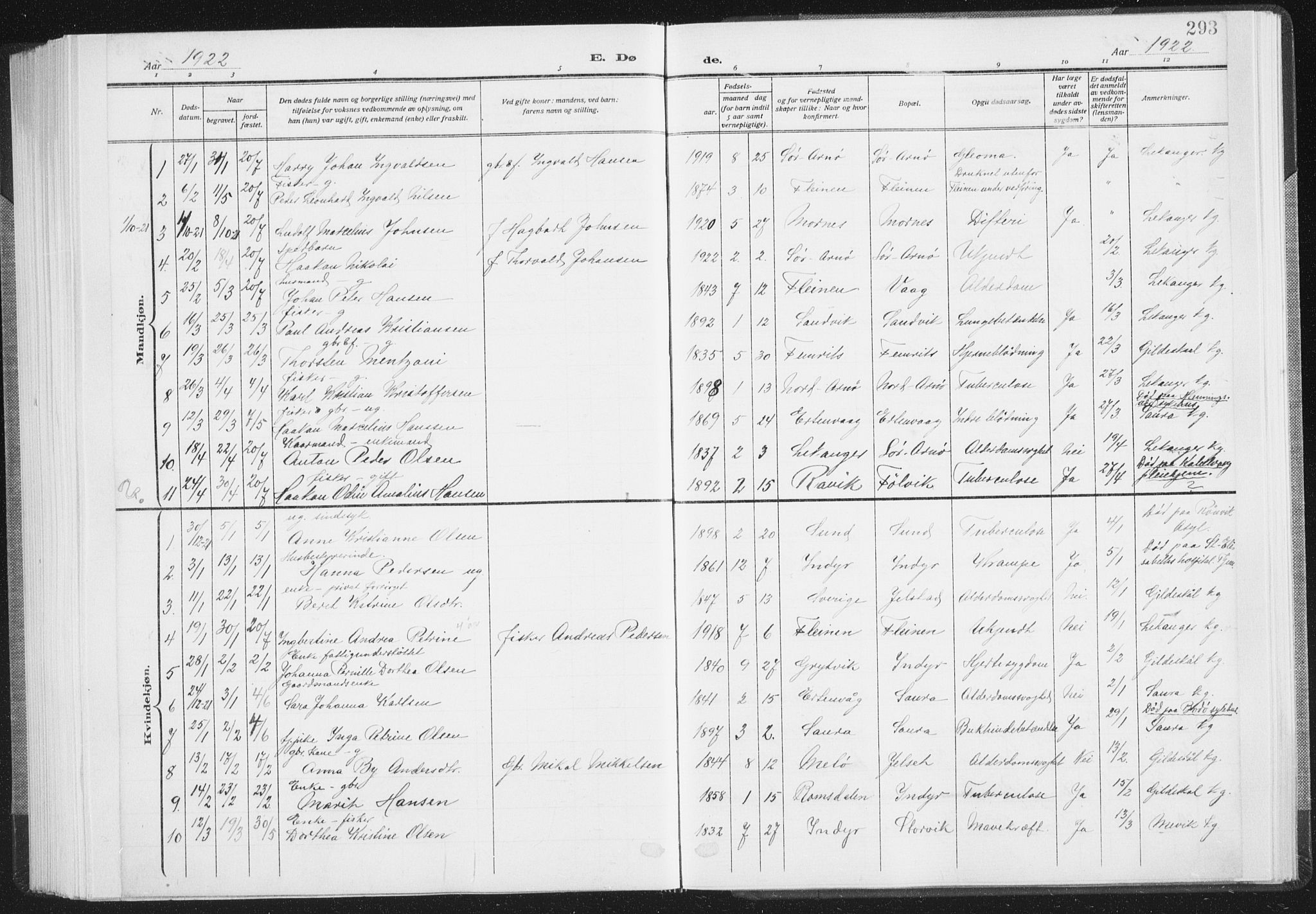 Ministerialprotokoller, klokkerbøker og fødselsregistre - Nordland, AV/SAT-A-1459/805/L0104: Parish register (official) no. 805A09, 1909-1926, p. 293