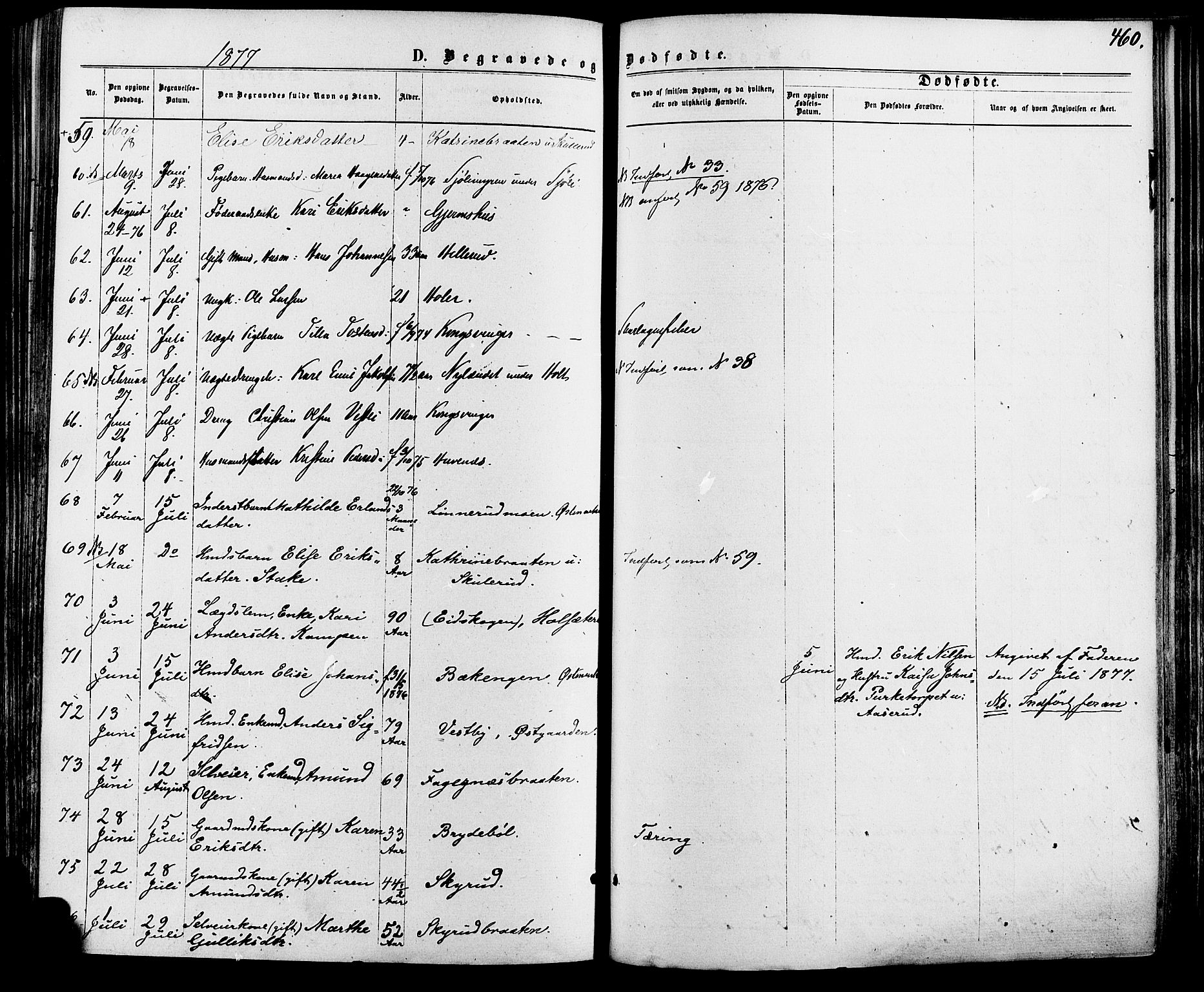 Vinger prestekontor, AV/SAH-PREST-024/H/Ha/Haa/L0012: Parish register (official) no. 12, 1871-1880, p. 460