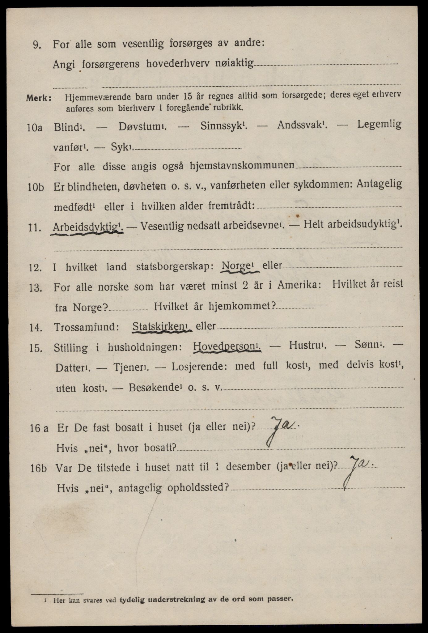 SAKO, 1920 census for Nissedal, 1920, p. 1534