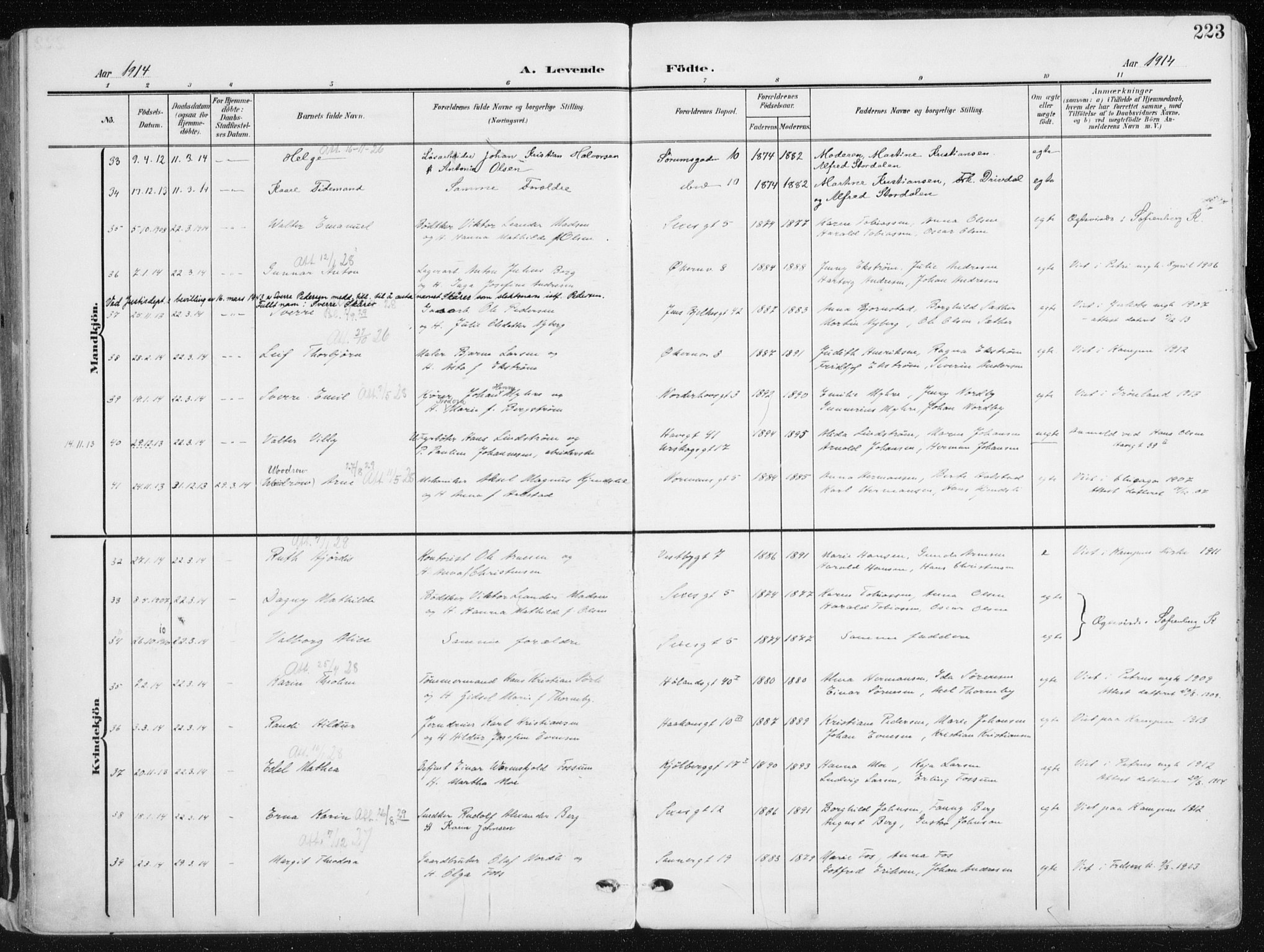 Kampen prestekontor Kirkebøker, SAO/A-10853/F/Fa/L0010: Parish register (official) no. I 10, 1905-1917, p. 223