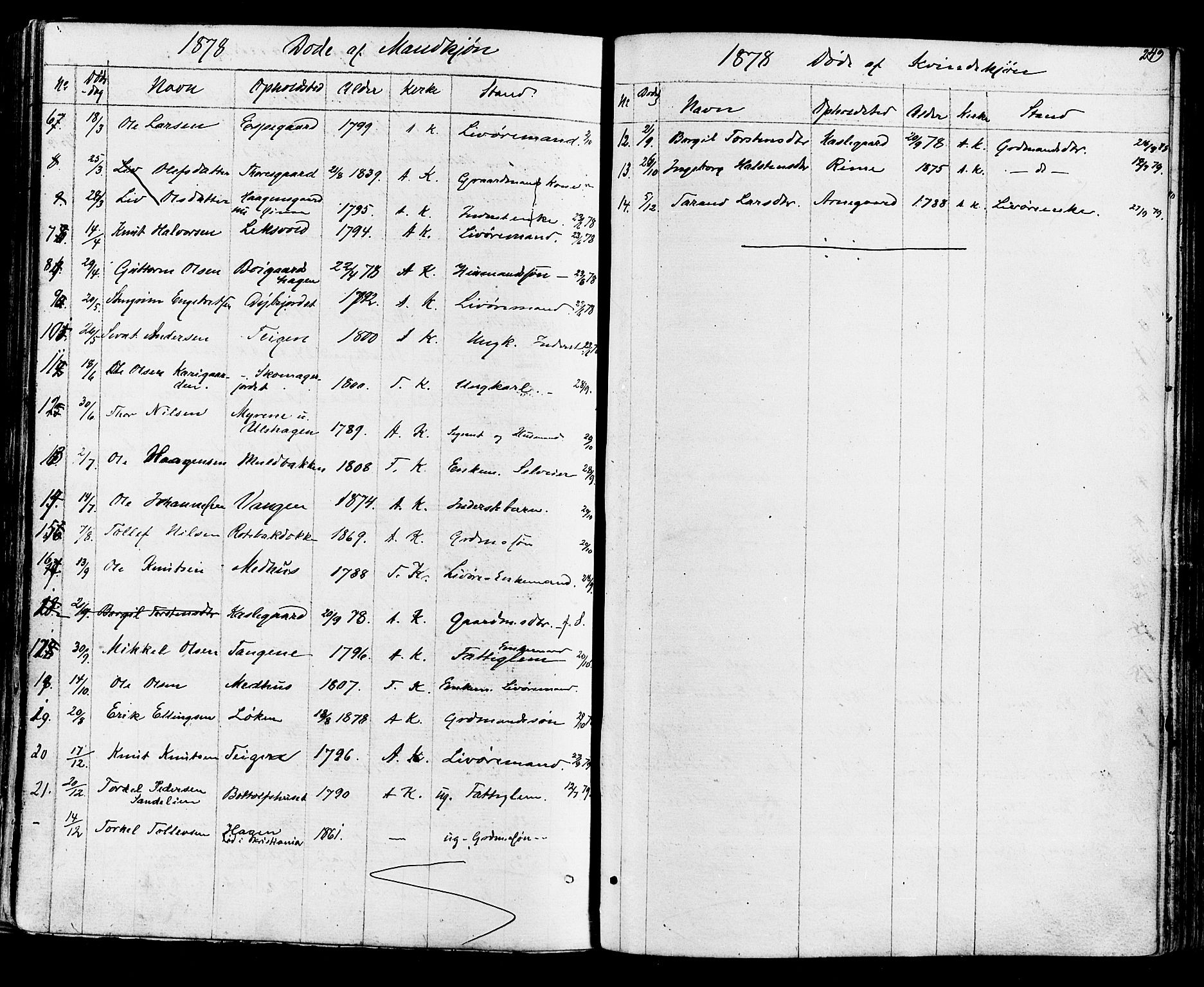 Ål kirkebøker, AV/SAKO-A-249/F/Fa/L0007: Parish register (official) no. I 7, 1865-1881, p. 249