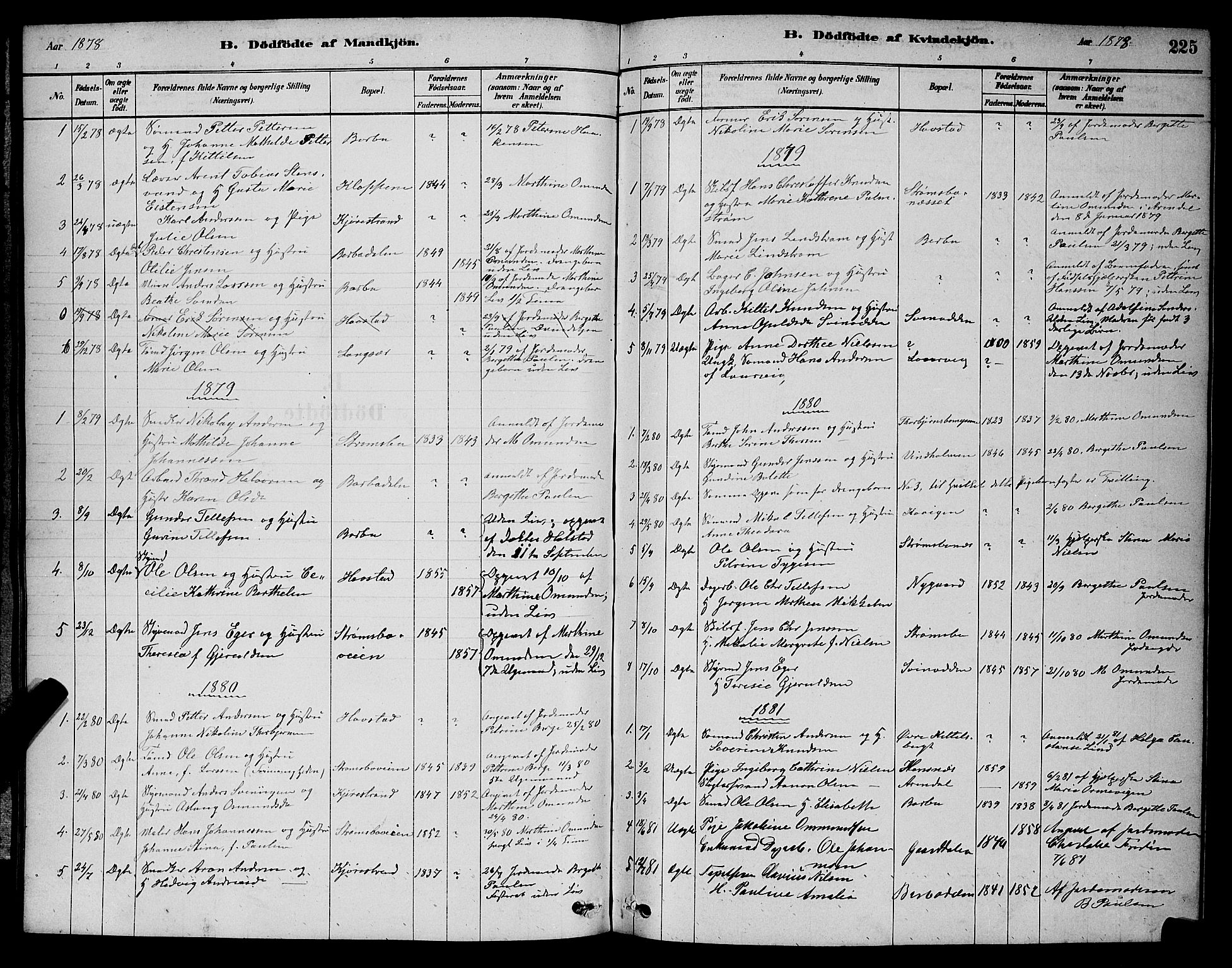 Barbu sokneprestkontor, AV/SAK-1111-0003/F/Fb/L0001: Parish register (copy) no. B 1, 1878-1890, p. 225