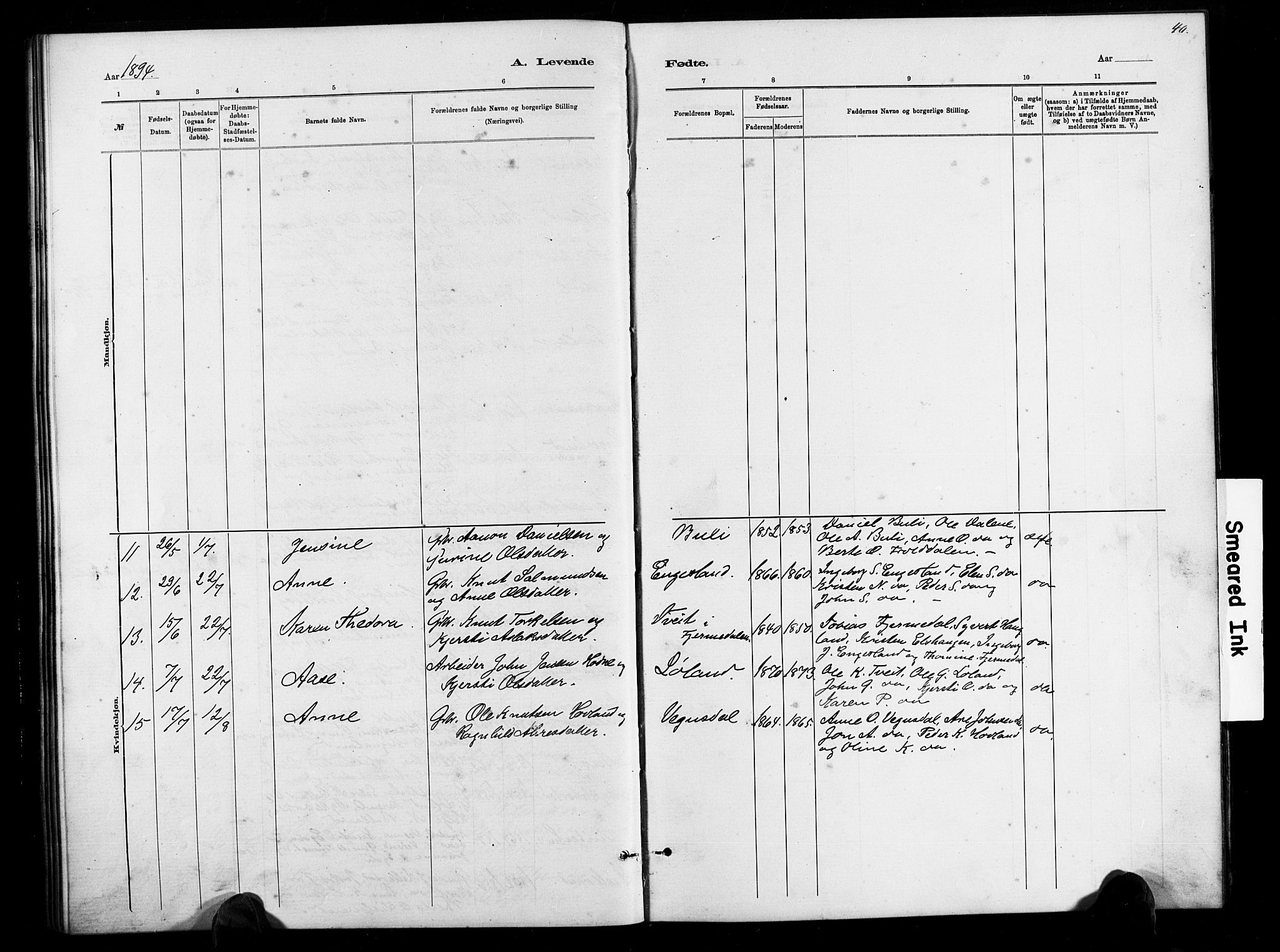 Herefoss sokneprestkontor, SAK/1111-0019/F/Fb/Fbb/L0002: Parish register (copy) no. B 2, 1879-1894, p. 40
