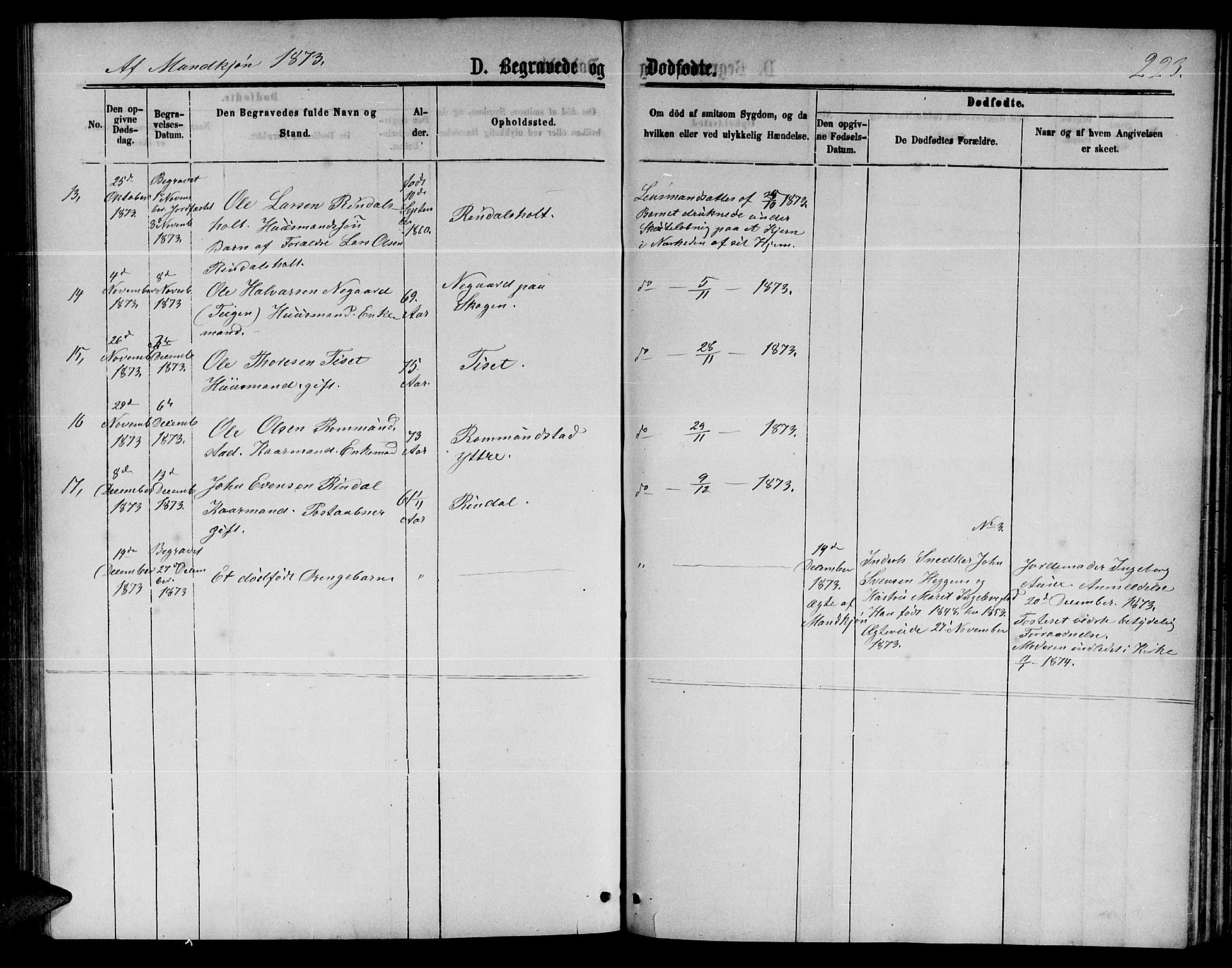 Ministerialprotokoller, klokkerbøker og fødselsregistre - Møre og Romsdal, AV/SAT-A-1454/598/L1076: Parish register (copy) no. 598C01, 1867-1878, p. 223