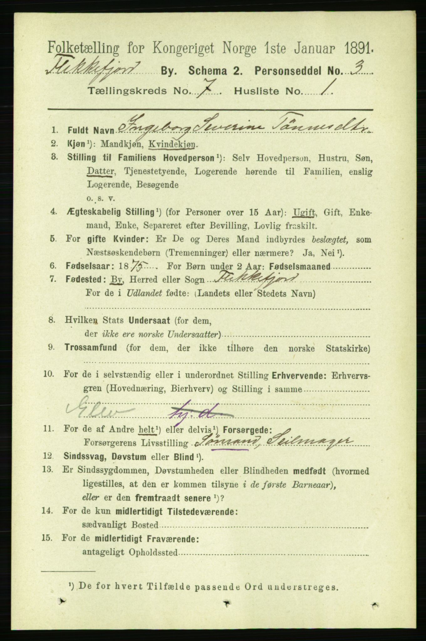 RA, 1891 census for 1004 Flekkefjord, 1891, p. 1284