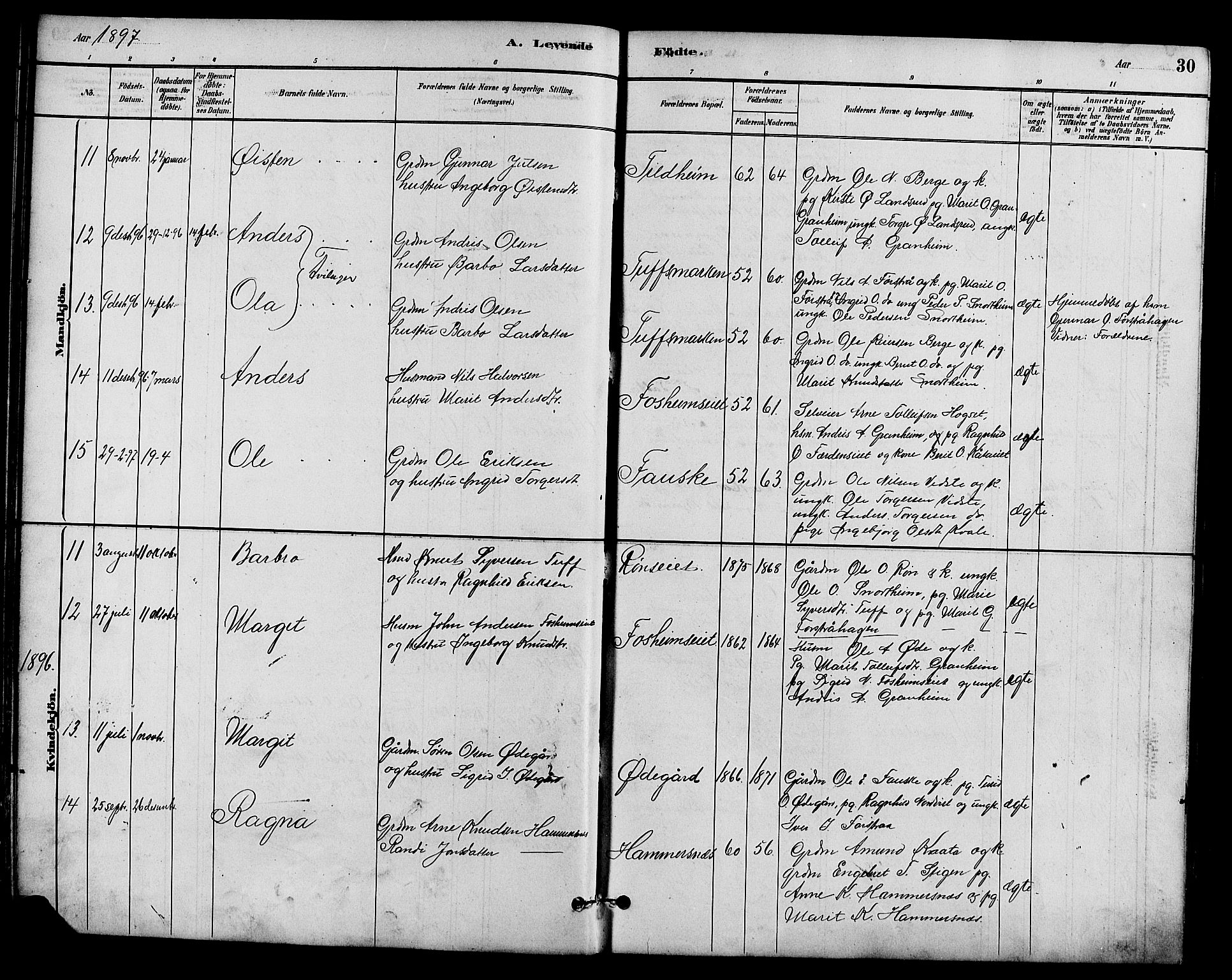 Vestre Slidre prestekontor, SAH/PREST-136/H/Ha/Hab/L0005: Parish register (copy) no. 5, 1881-1913, p. 30