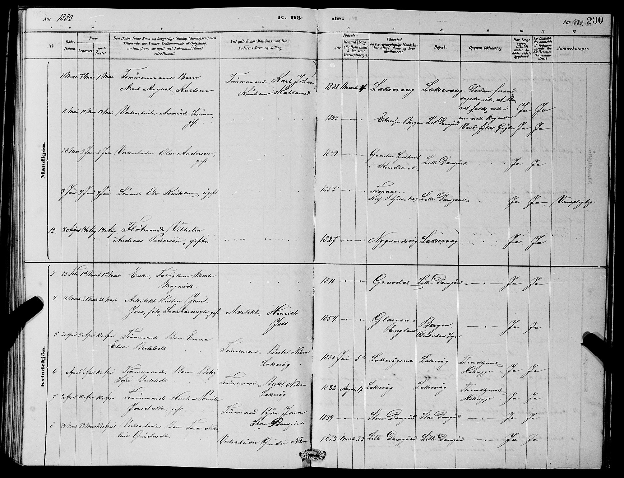 Laksevåg Sokneprestembete, SAB/A-76501/H/Ha/Hab/Haba/L0002: Parish register (copy) no. A 2, 1877-1887, p. 230