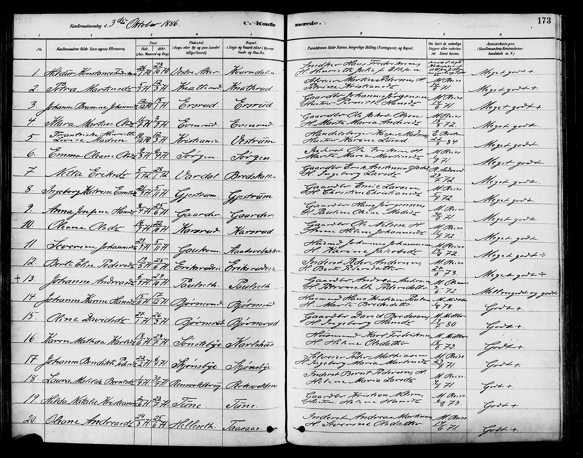 Vestre Toten prestekontor, AV/SAH-PREST-108/H/Ha/Haa/L0009: Parish register (official) no. 9, 1878-1894, p. 173