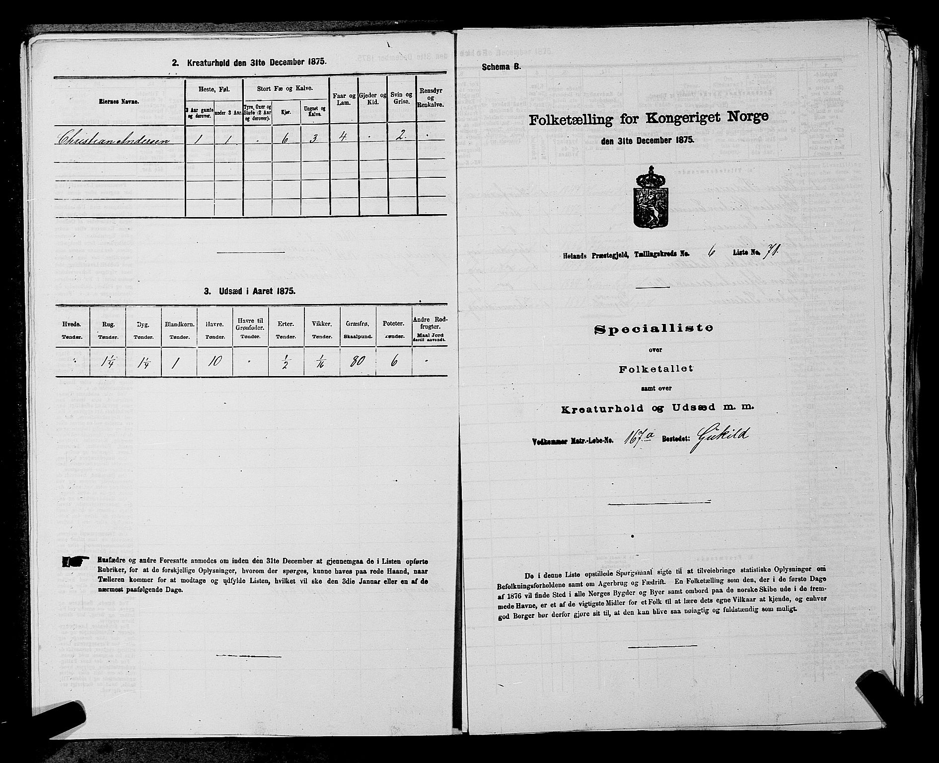 RA, 1875 census for 0221P Høland, 1875, p. 1229