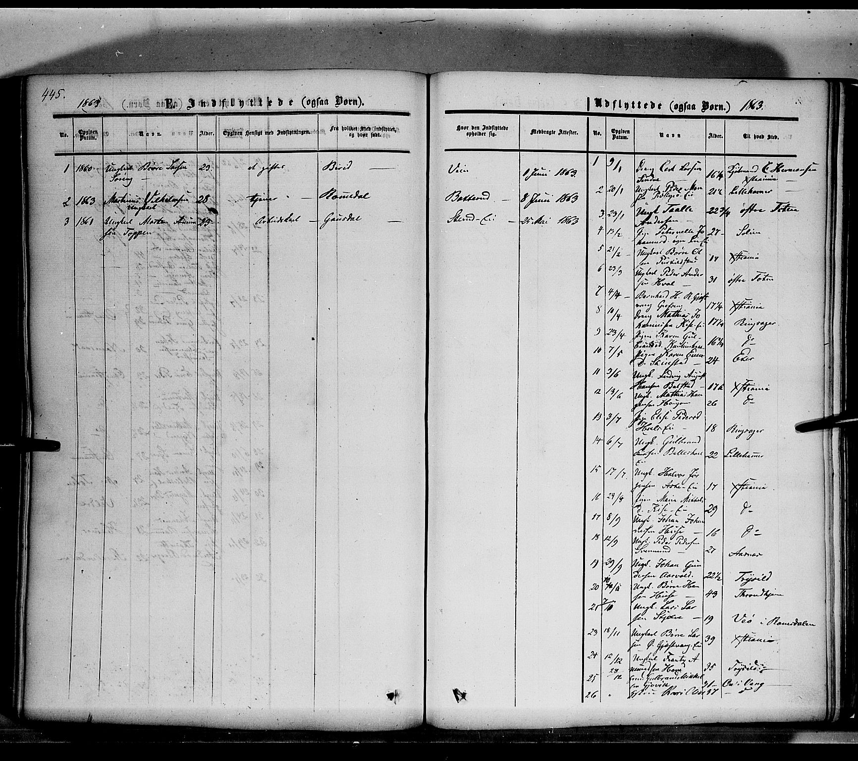 Nes prestekontor, Hedmark, SAH/PREST-020/K/Ka/L0004: Parish register (official) no. 4, 1852-1886, p. 445