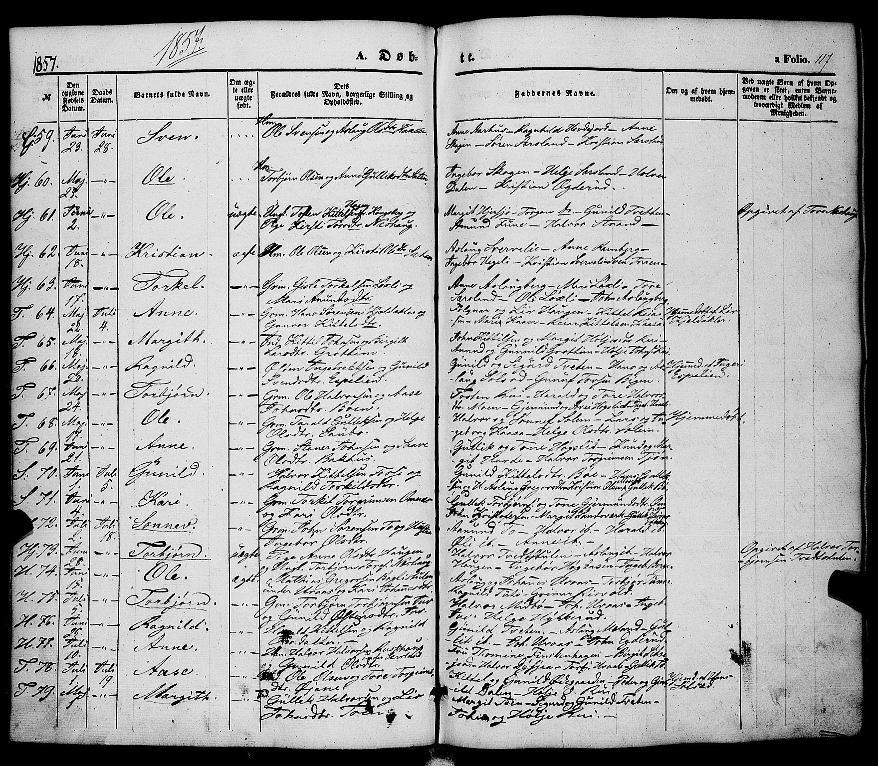 Hjartdal kirkebøker, AV/SAKO-A-270/F/Fa/L0008: Parish register (official) no. I 8, 1844-1859, p. 117