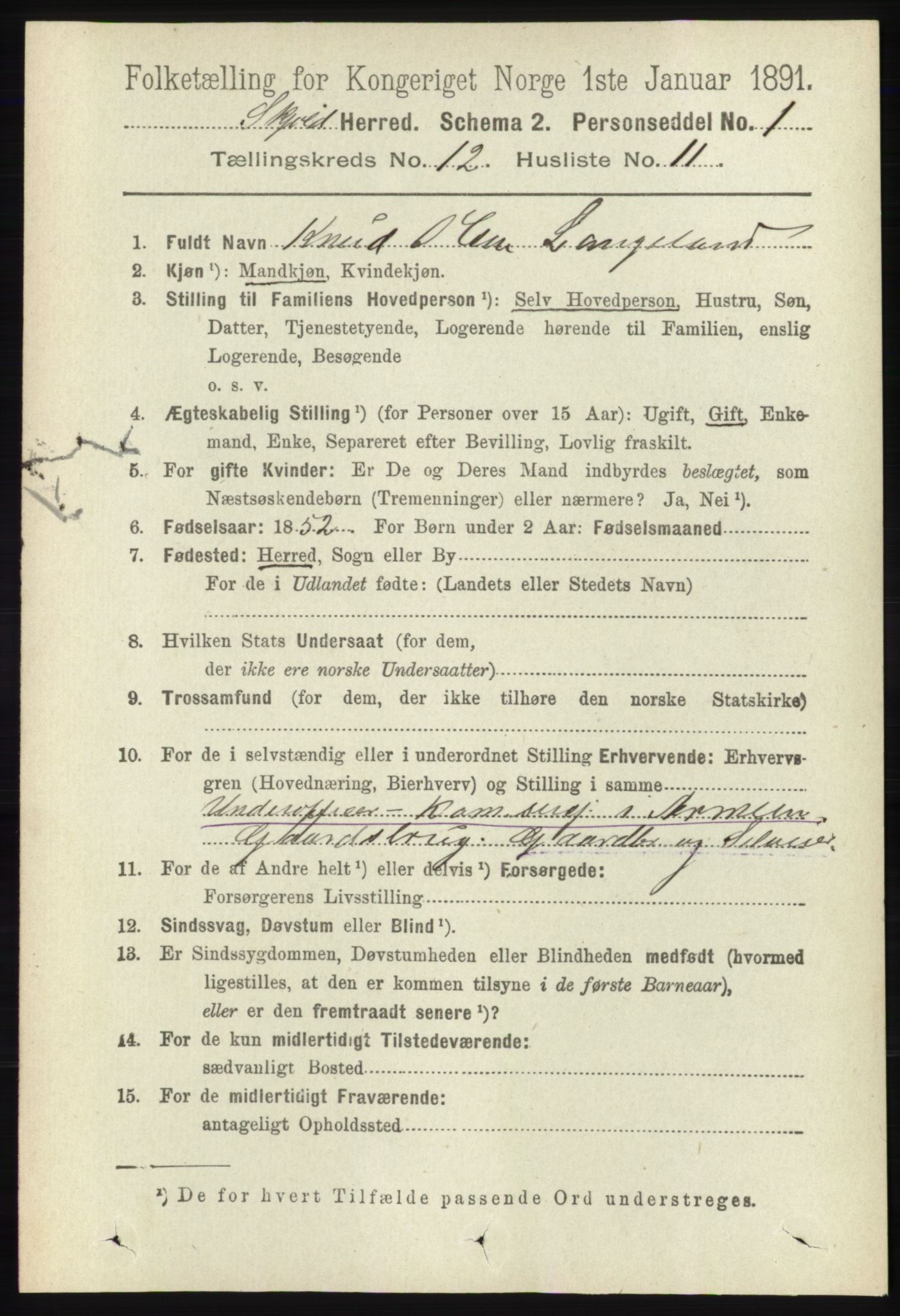 RA, 1891 census for 1154 Skjold, 1891, p. 2305