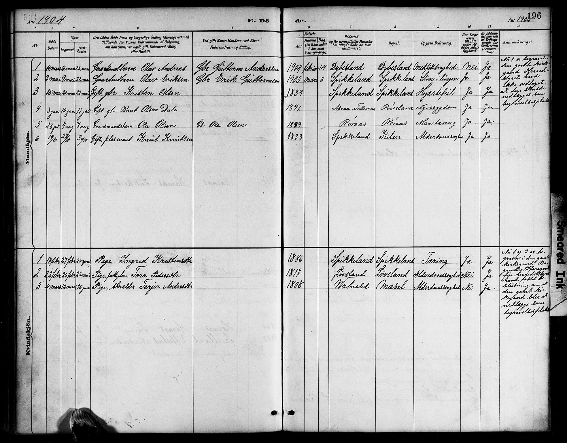 Bjelland sokneprestkontor, SAK/1111-0005/F/Fb/Fbb/L0005: Parish register (copy) no. B 5, 1887-1918, p. 196