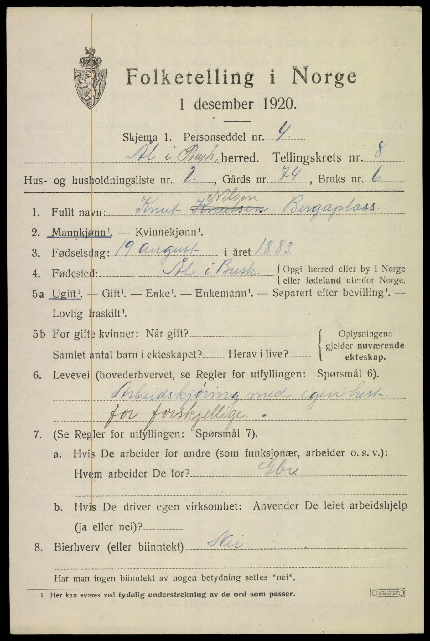 SAKO, 1920 census for Ål, 1920, p. 5354