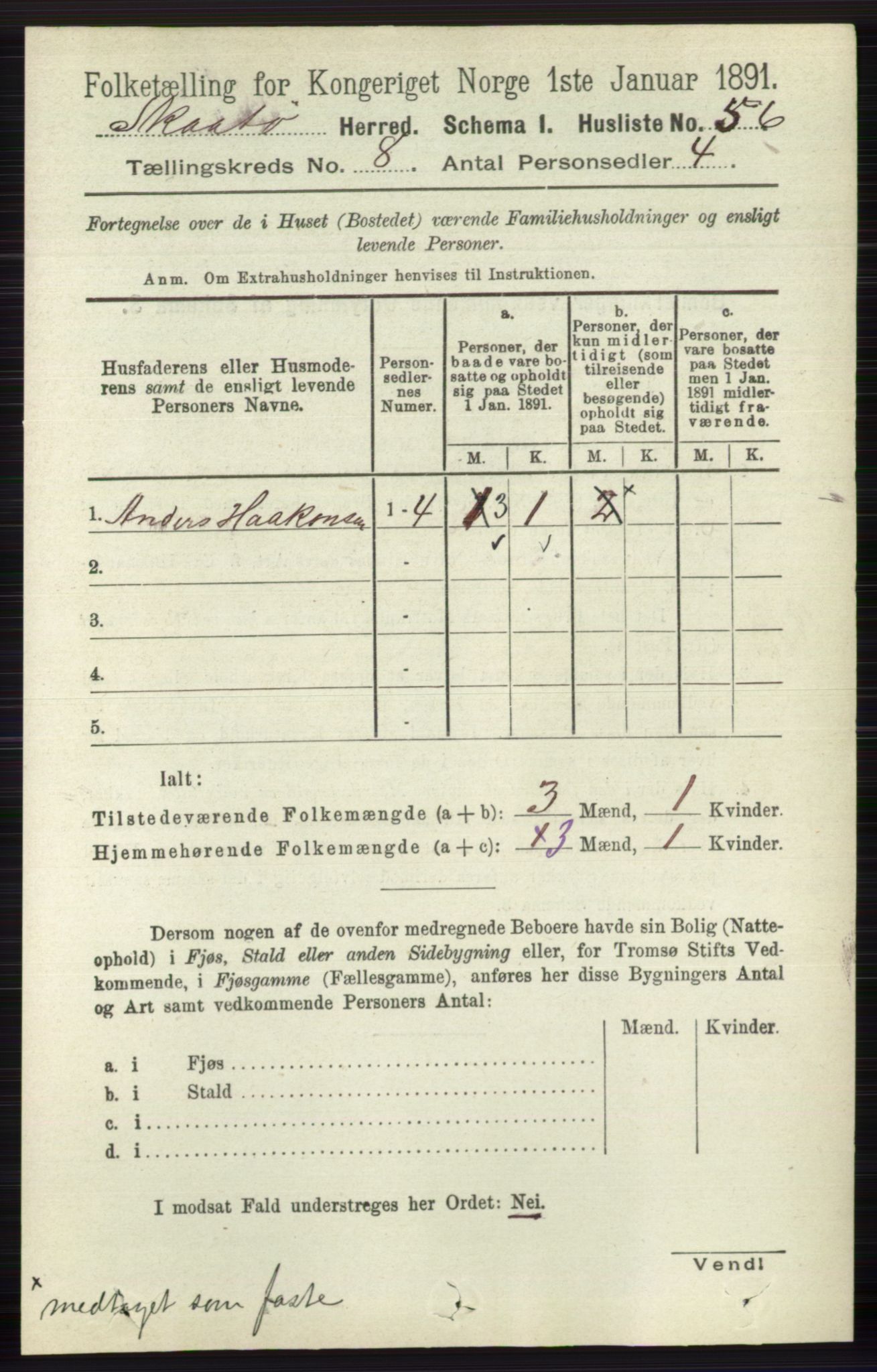 RA, 1891 census for 0815 Skåtøy, 1891, p. 3527