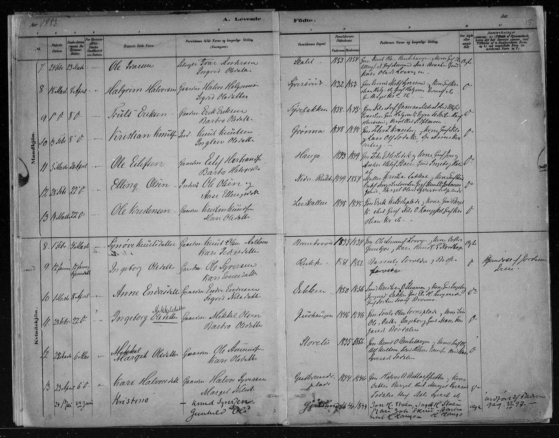 Nes kirkebøker, AV/SAKO-A-236/F/Fa/L0011: Parish register (official) no. 11, 1881-1912, p. 15