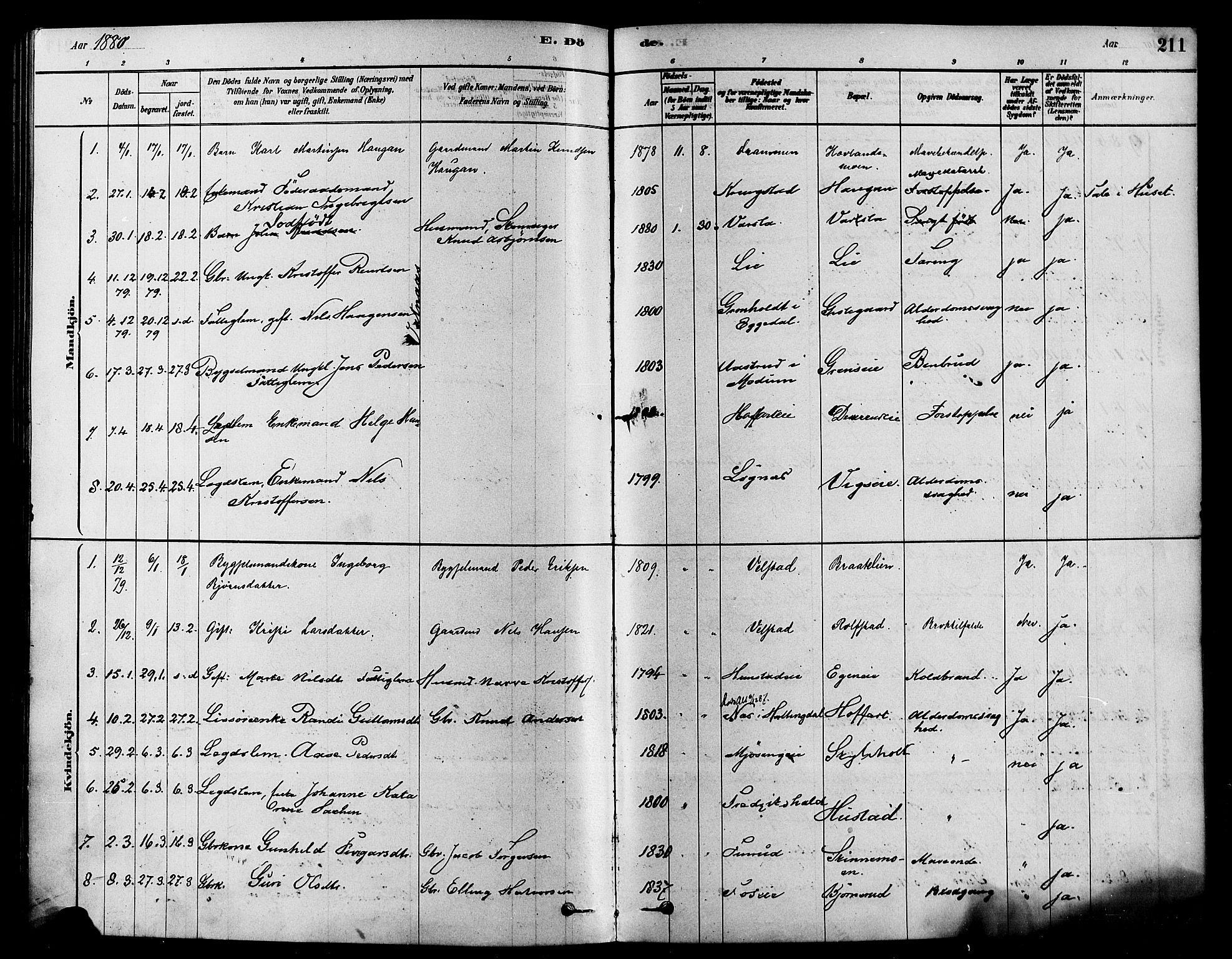 Sigdal kirkebøker, AV/SAKO-A-245/F/Fa/L0011: Parish register (official) no. I 11, 1879-1887, p. 211