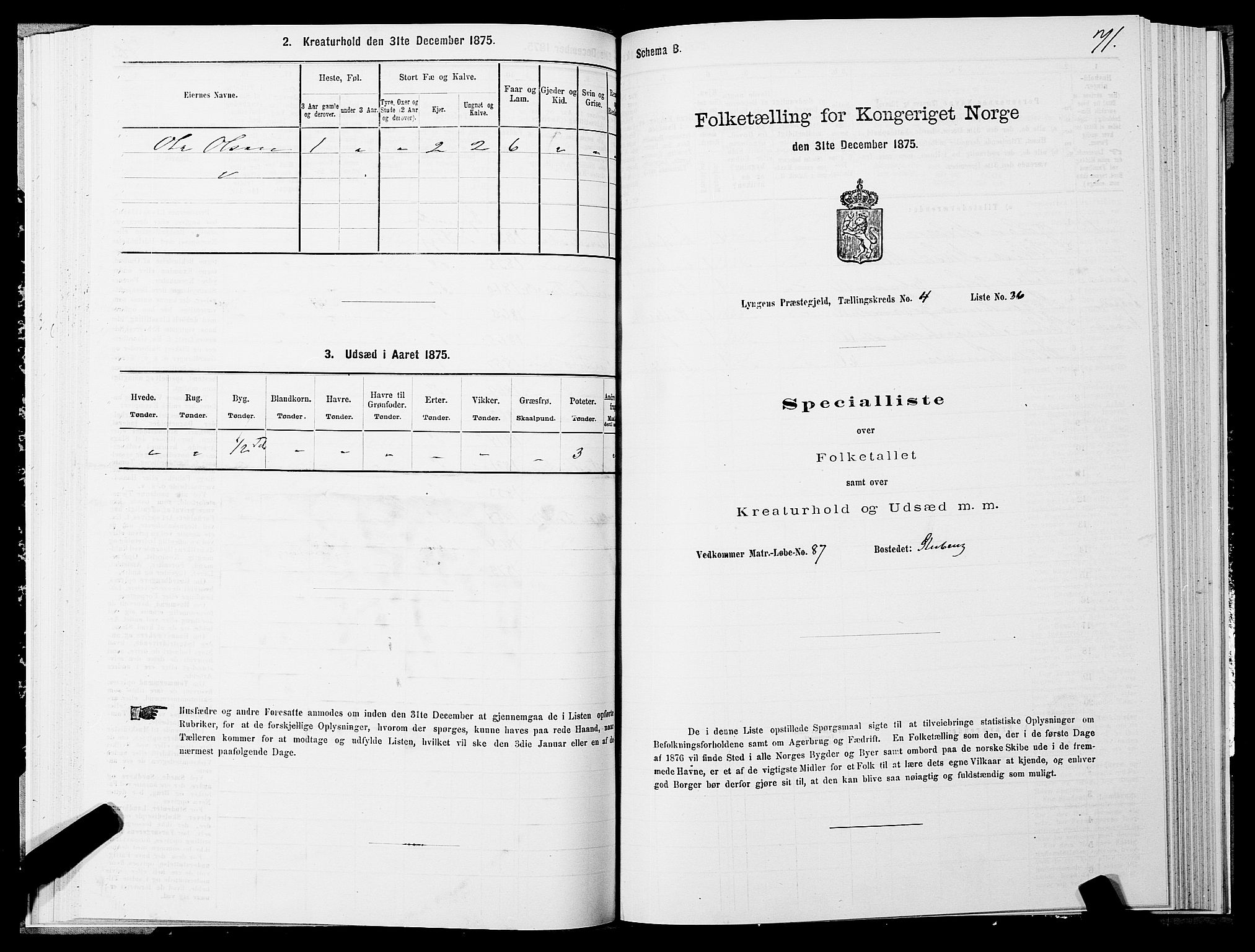 SATØ, 1875 census for 1938P Lyngen, 1875, p. 4071