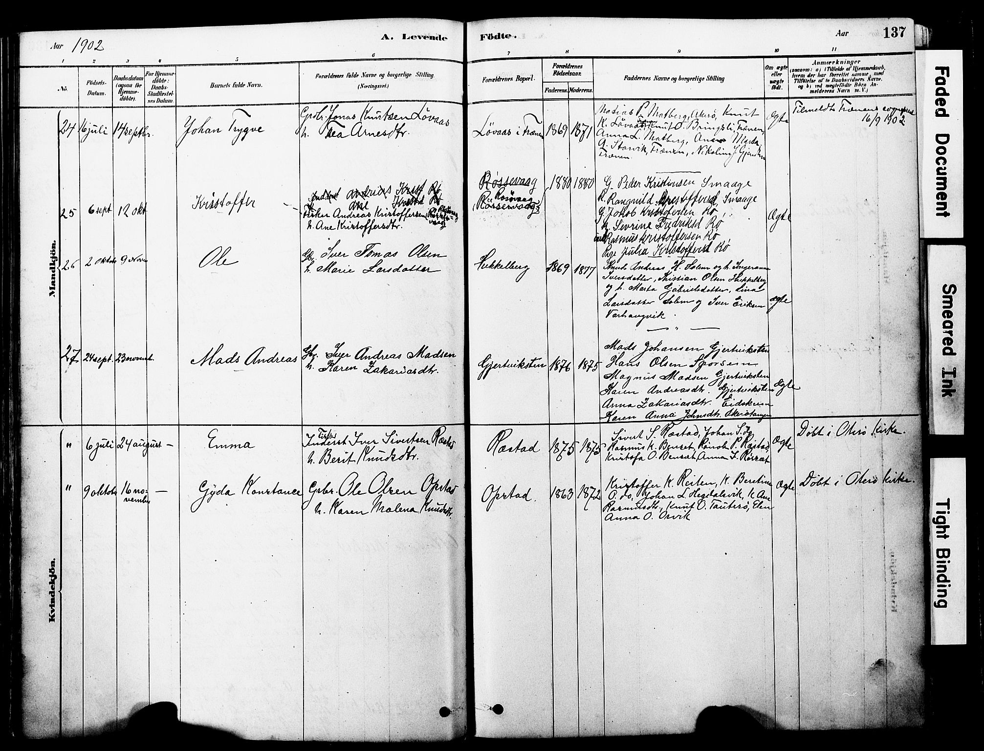 Ministerialprotokoller, klokkerbøker og fødselsregistre - Møre og Romsdal, SAT/A-1454/560/L0721: Parish register (official) no. 560A05, 1878-1917, p. 137