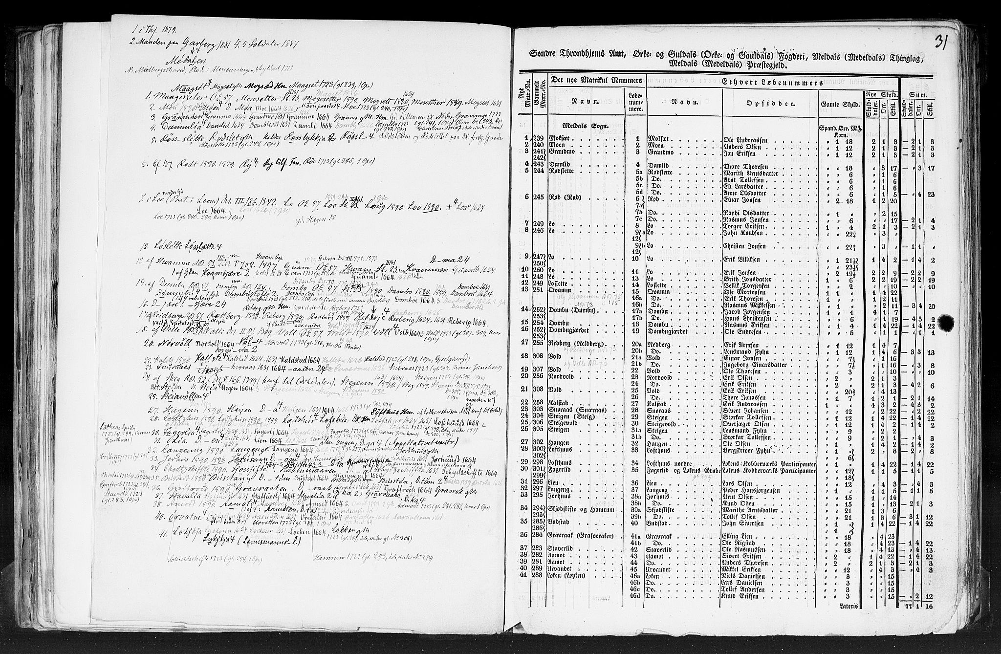 Rygh, RA/PA-0034/F/Fb/L0014: Matrikkelen for 1838 - Søndre Trondhjems amt (Sør-Trøndelag fylke), 1838, p. 31a