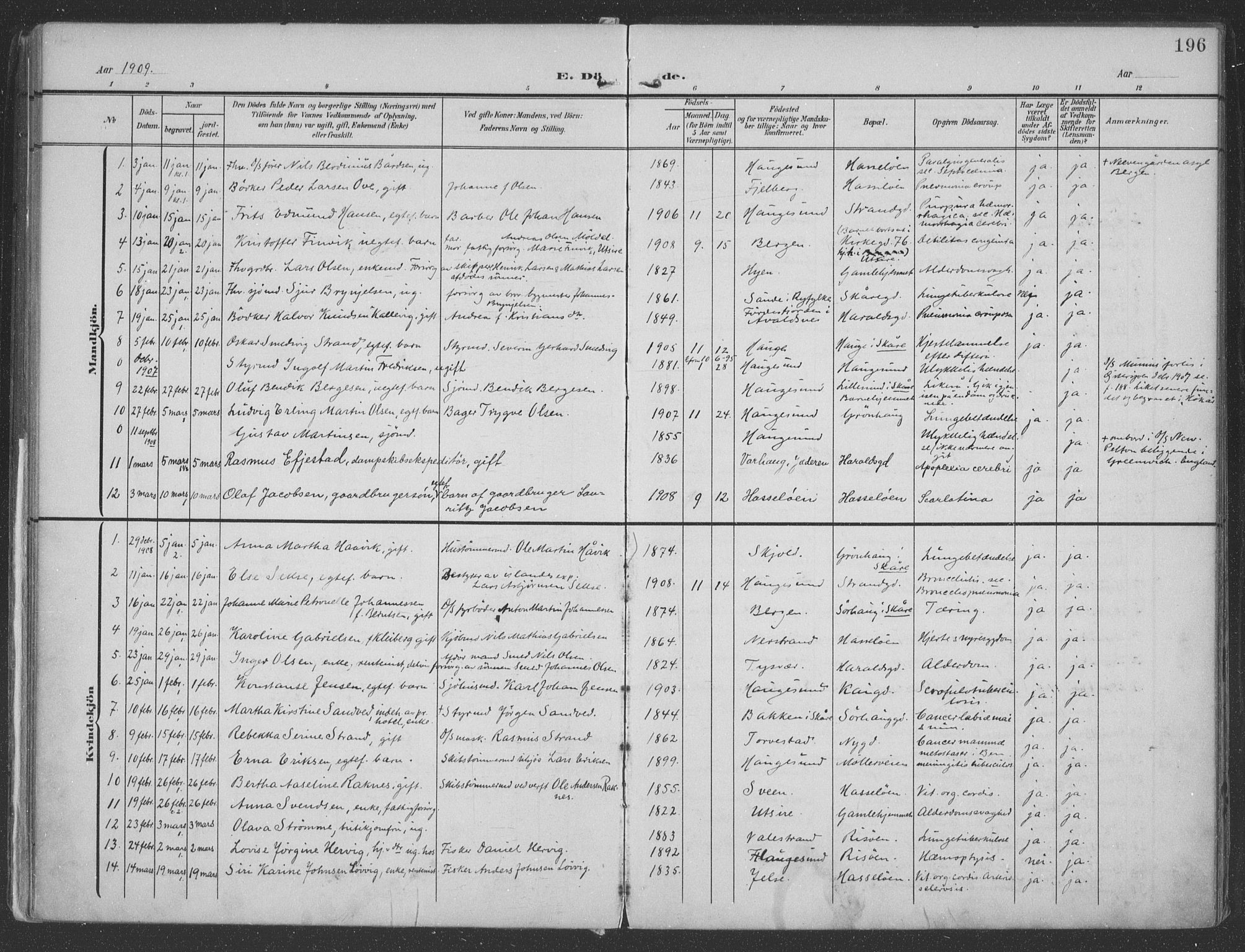 Haugesund sokneprestkontor, SAST/A -101863/H/Ha/Haa/L0007: Parish register (official) no. A 7, 1904-1916, p. 196