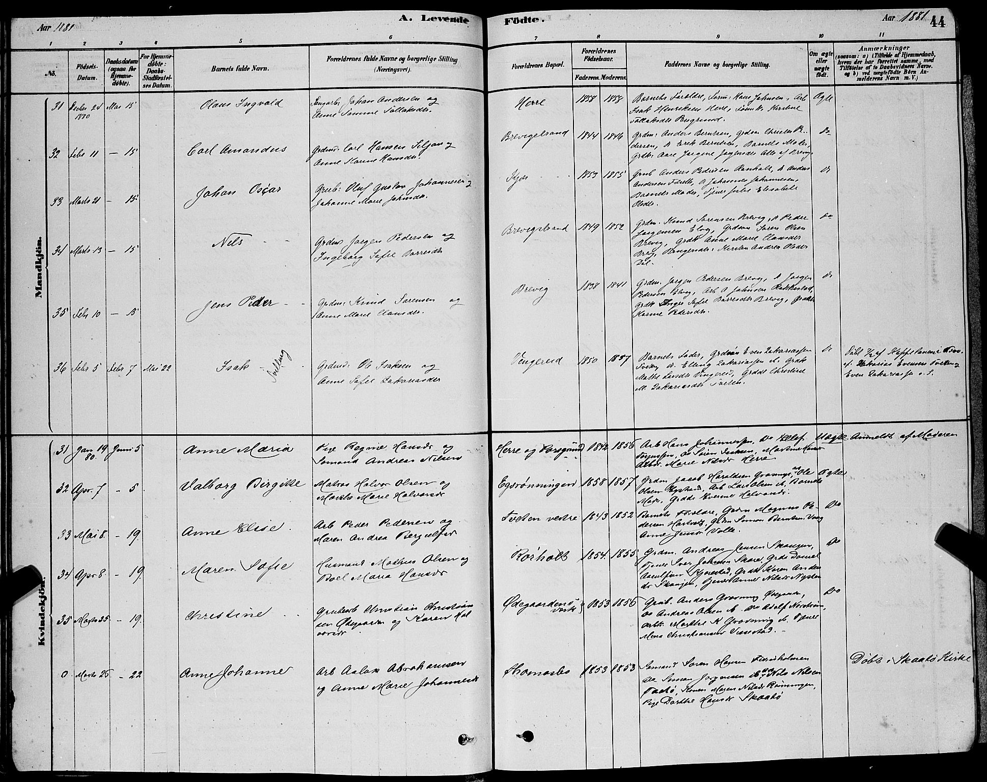 Bamble kirkebøker, AV/SAKO-A-253/G/Ga/L0008: Parish register (copy) no. I 8, 1878-1888, p. 44