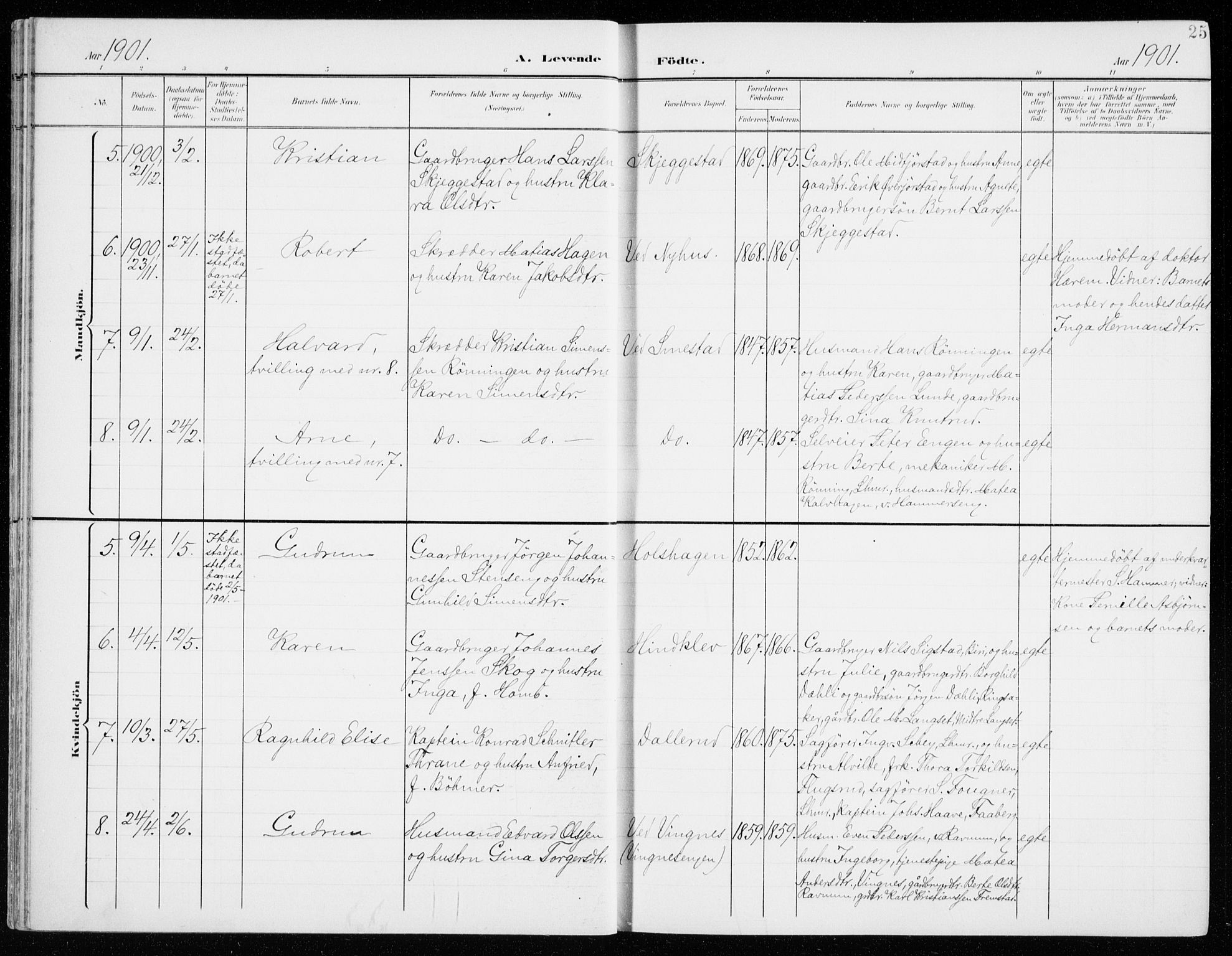 Fåberg prestekontor, SAH/PREST-086/H/Ha/Haa/L0011: Parish register (official) no. 11, 1899-1913, p. 25