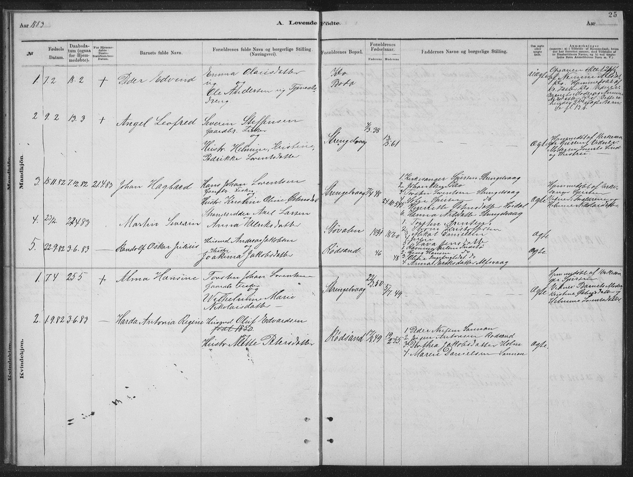 Ministerialprotokoller, klokkerbøker og fødselsregistre - Nordland, AV/SAT-A-1459/894/L1359: Parish register (copy) no. 894C02, 1877-1884, p. 25