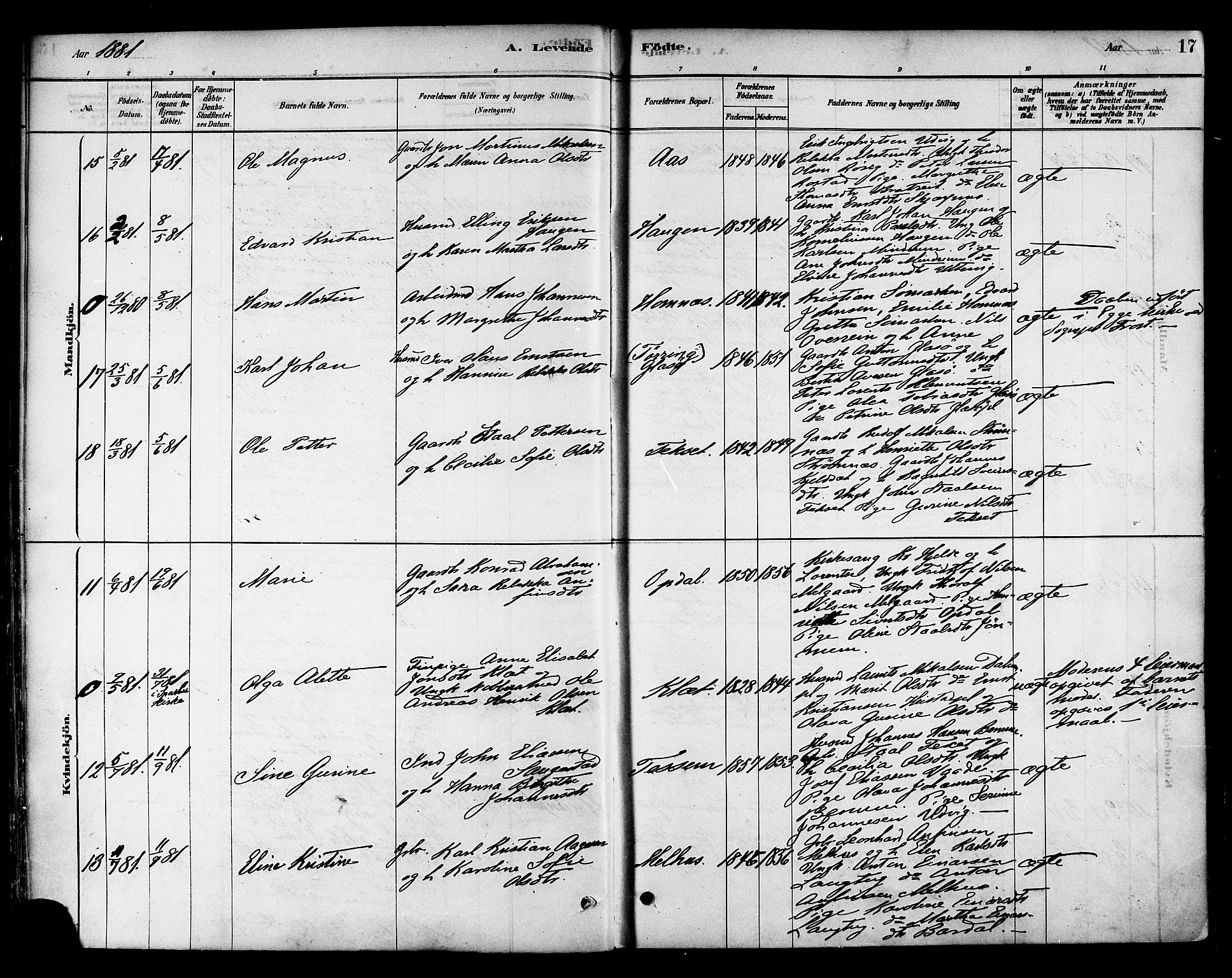 Ministerialprotokoller, klokkerbøker og fødselsregistre - Nord-Trøndelag, AV/SAT-A-1458/741/L0395: Parish register (official) no. 741A09, 1878-1888, p. 17