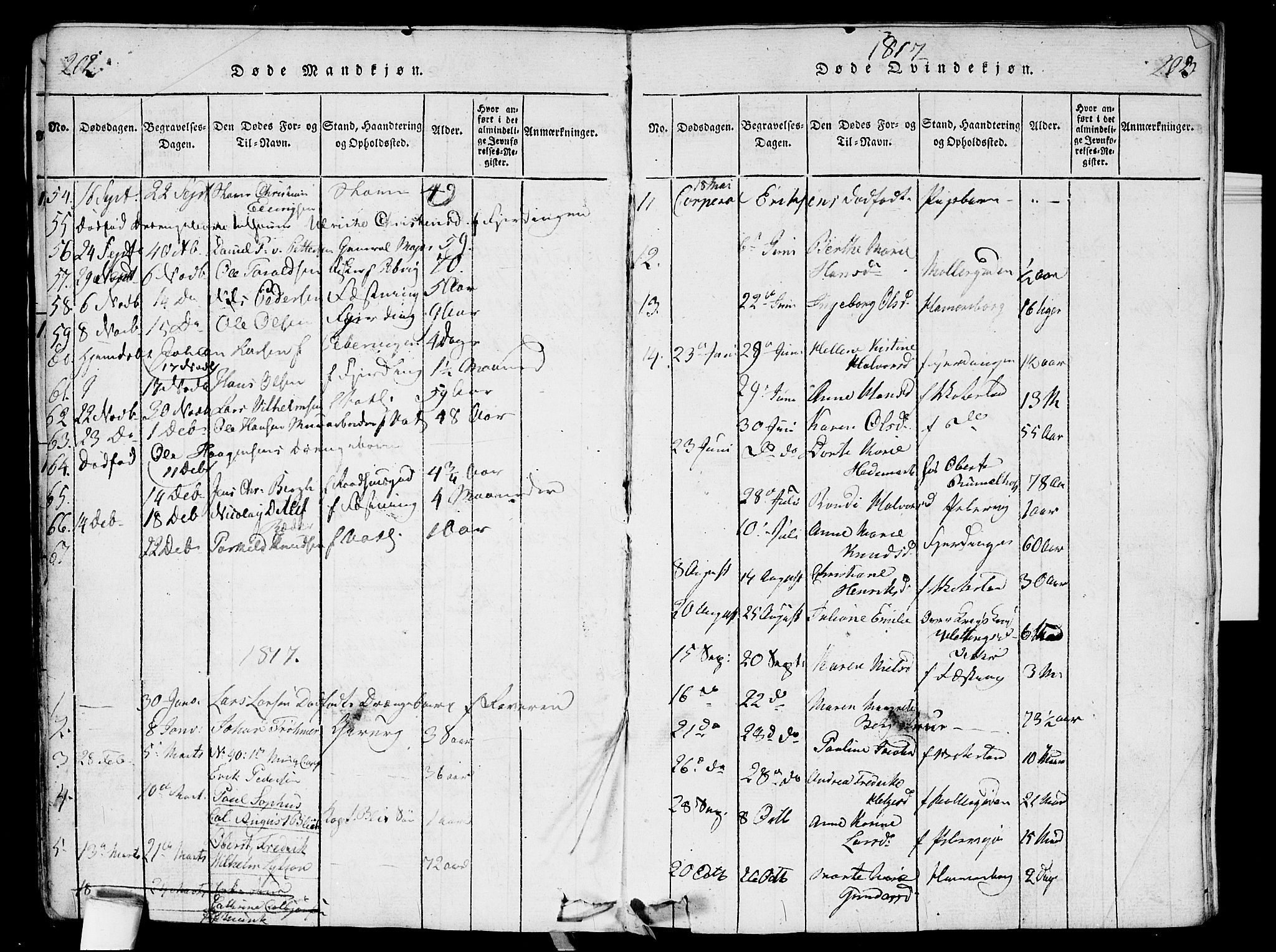 Garnisonsmenigheten Kirkebøker, SAO/A-10846/G/Ga/L0003: Parish register (copy) no. 3, 1815-1819, p. 202-203