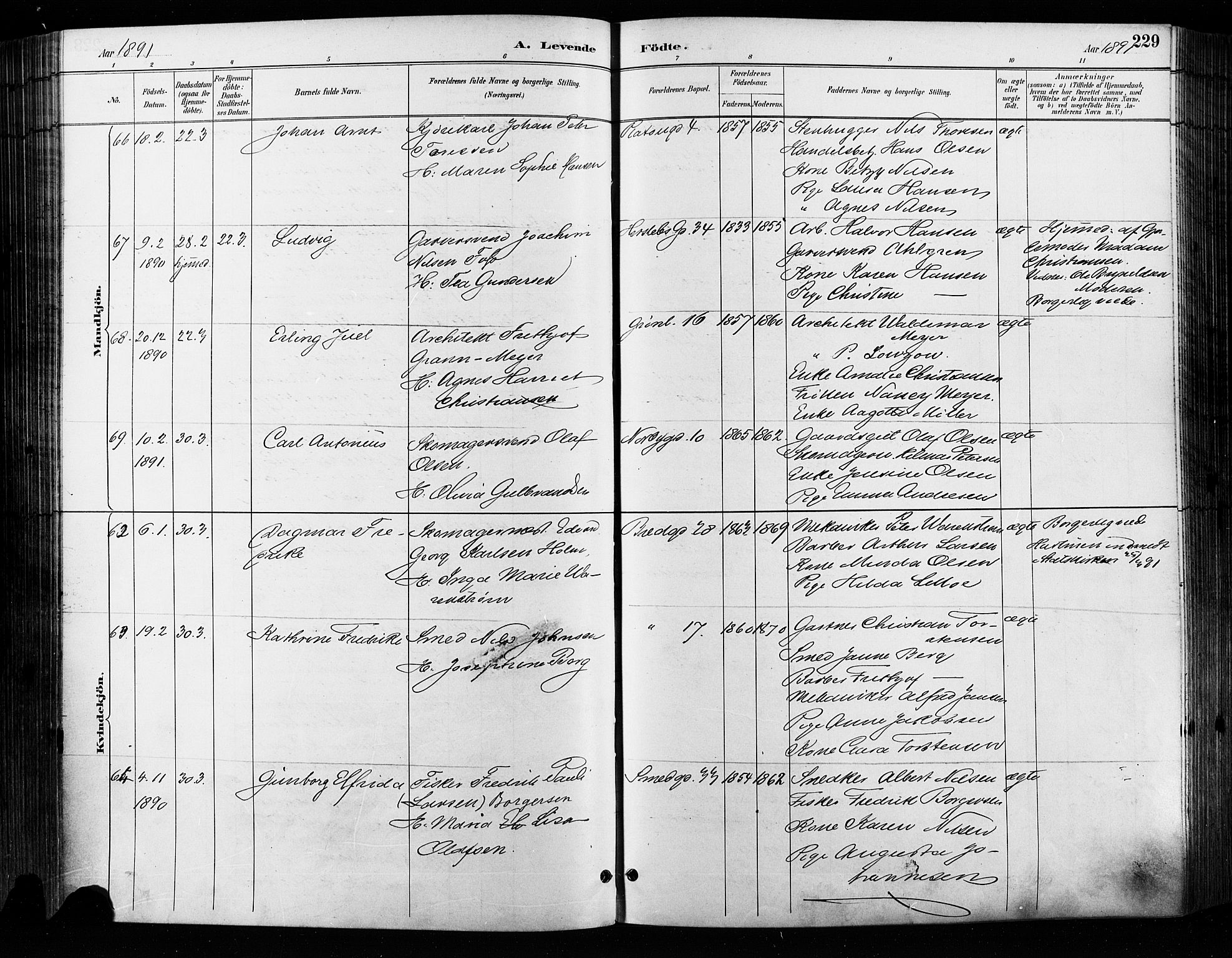 Grønland prestekontor Kirkebøker, SAO/A-10848/F/Fa/L0009: Parish register (official) no. 9, 1888-1893, p. 229