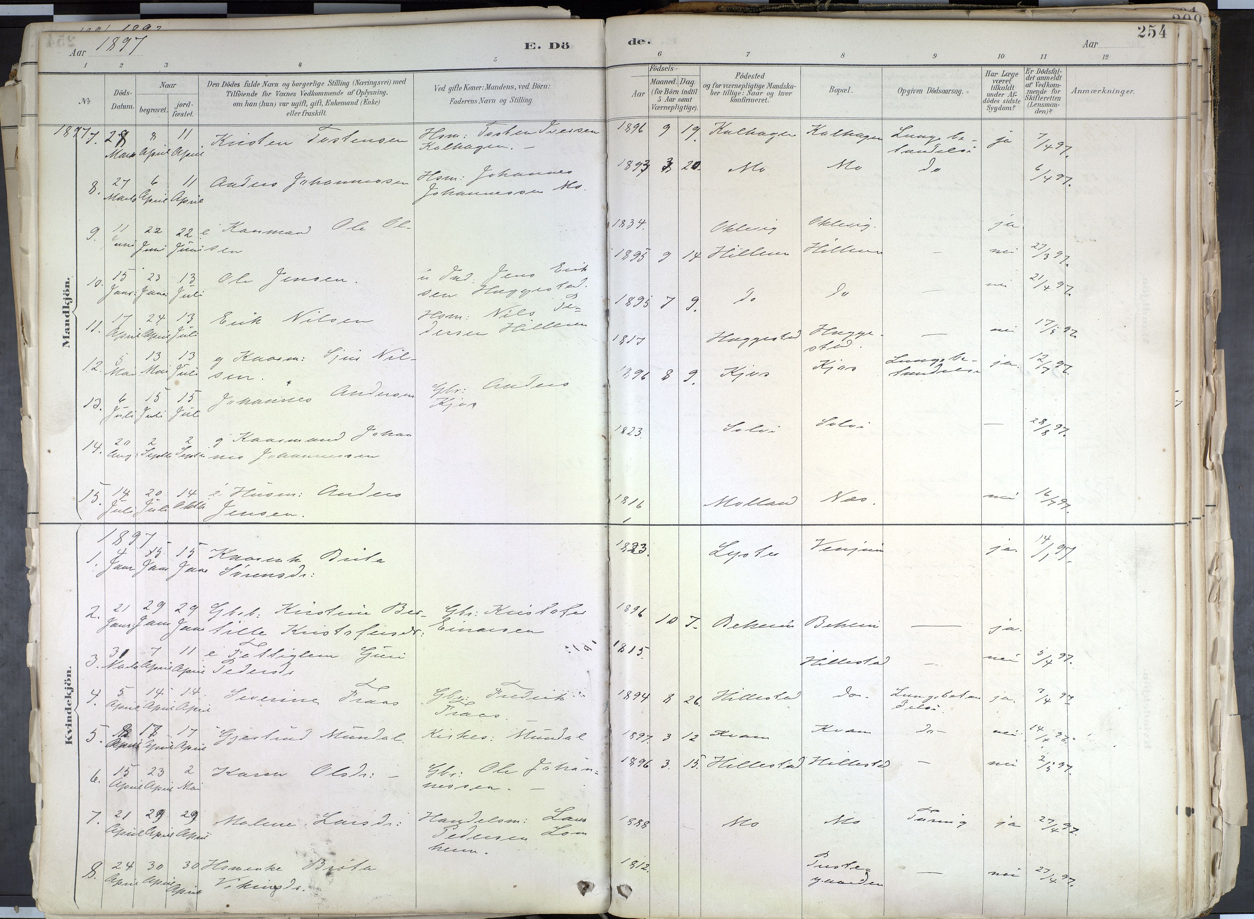 Hafslo sokneprestembete, AV/SAB-A-80301/H/Haa/Haab/L0001: Parish register (official) no. B 1, 1886-1945, p. 254