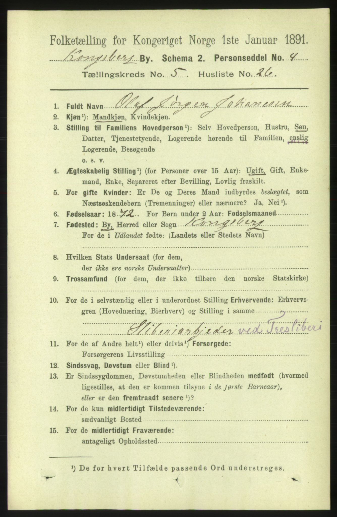 RA, 1891 census for 0604 Kongsberg, 1891, p. 4425