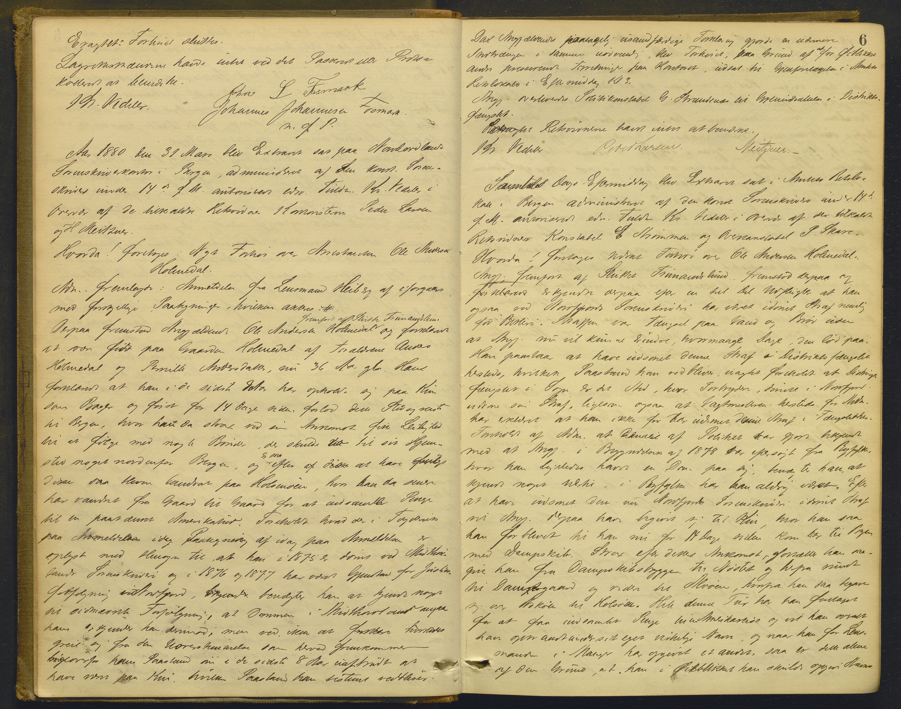 Nordhordland sorenskrivar, AV/SAB-A-2901/1/F/Fd/Fdd/L0004: Ekstrarettsprotokollar, forhøyr, 1880-1884, p. 5b-6a